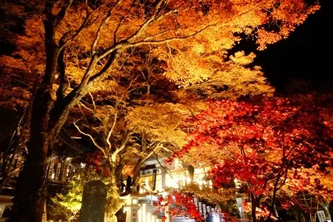 想像以上の絶景に出会えた神奈川の紅葉の見どころ〜大山編〜_1_9