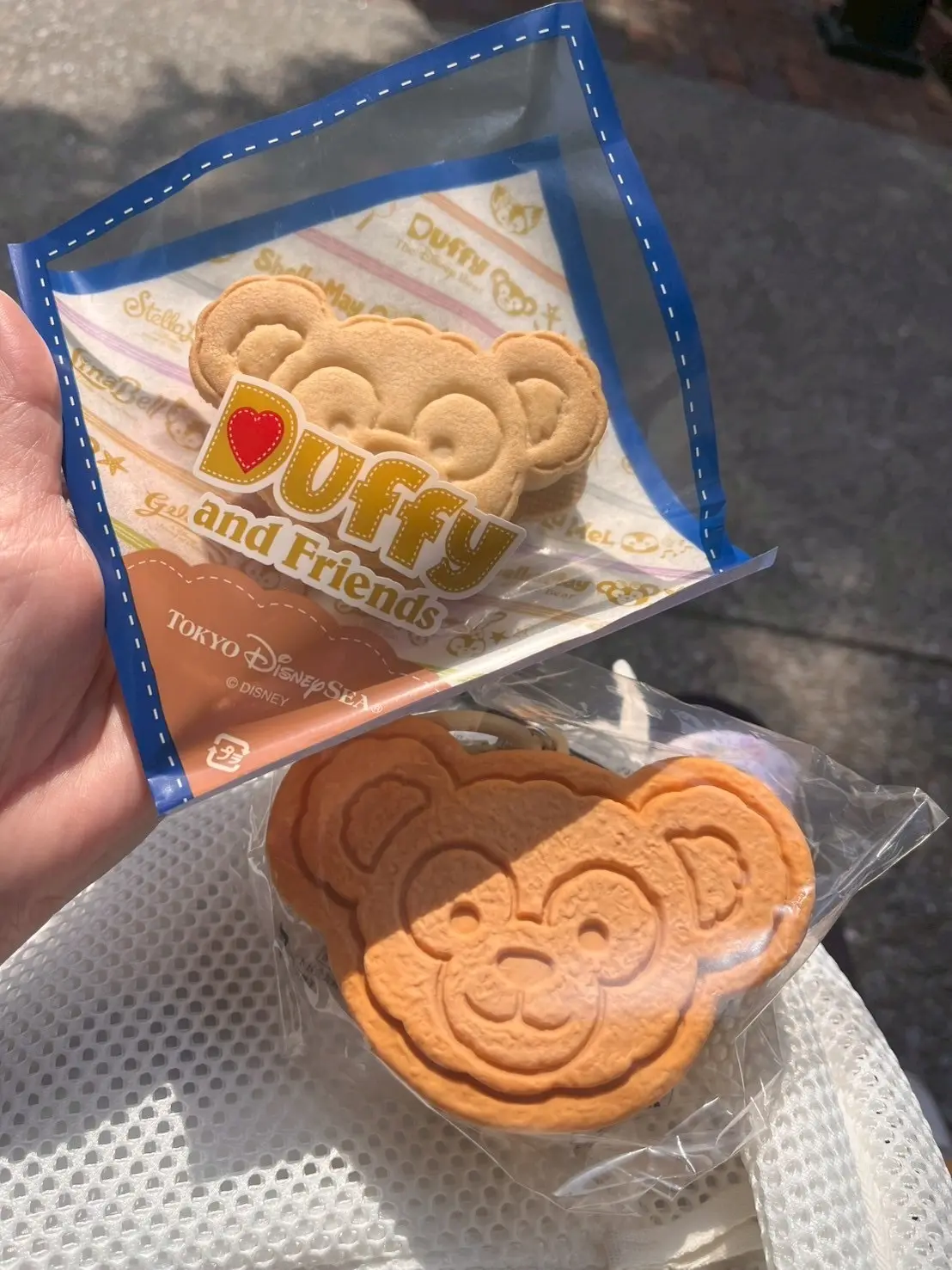 春のディズニーシーへ_1_5