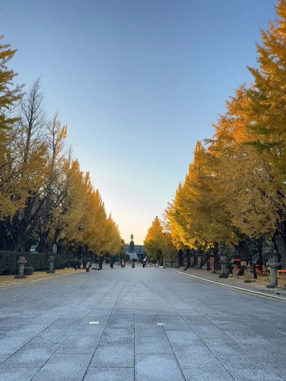 靖国神社の銀杏並木 ②