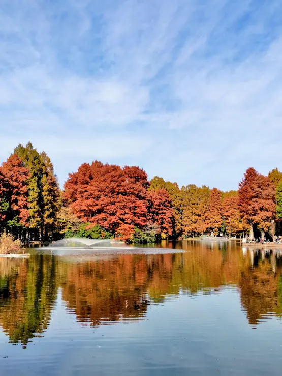 【H&amp;M】大人可愛いレオパードアウターで紅葉散策_1_1