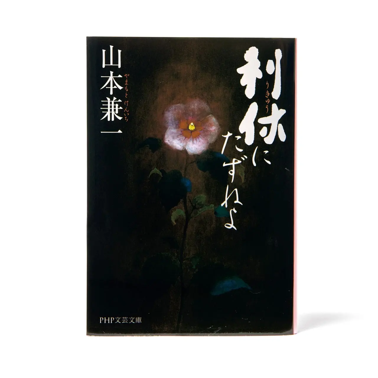 偉大な茶人が秘めていた記憶