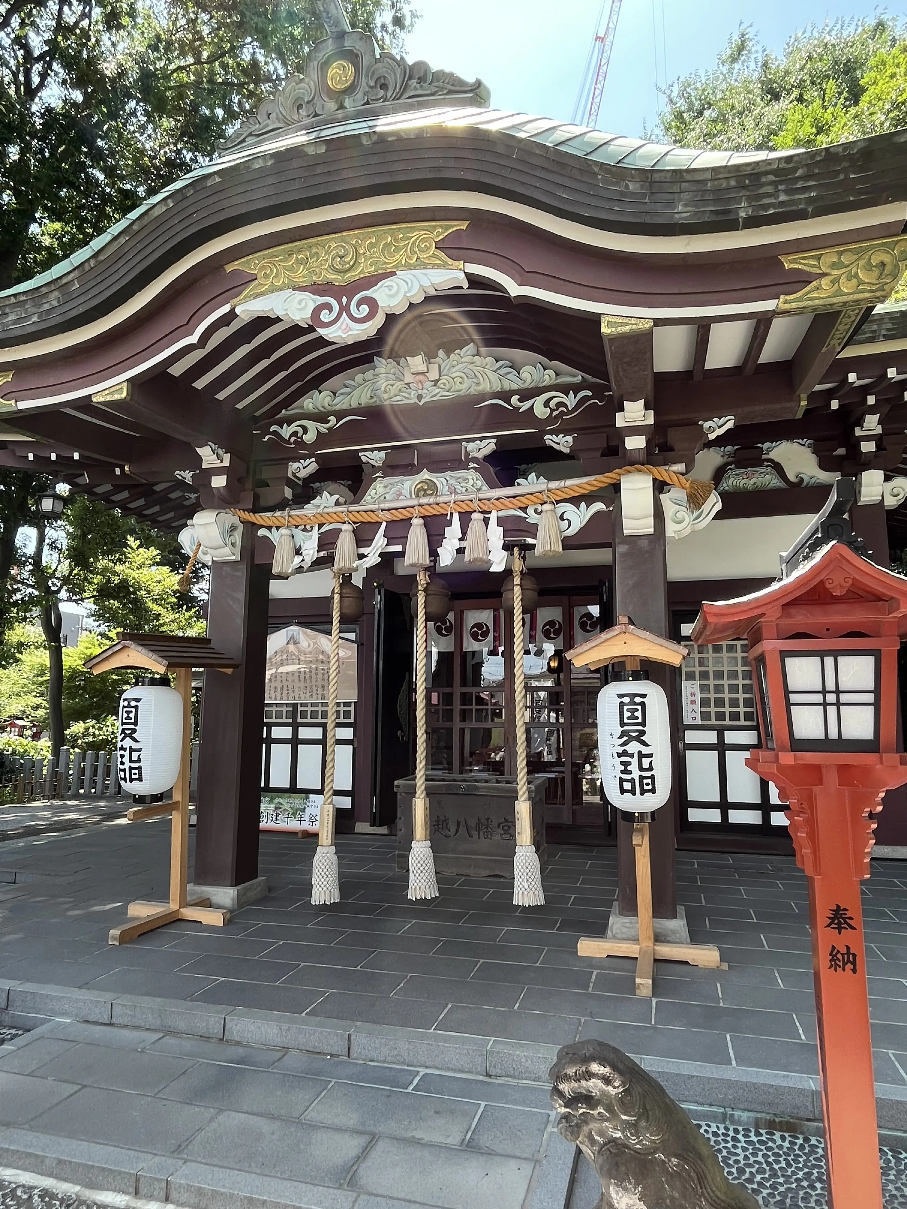 茅の輪くぐりと楽しみにしていたライブ_1_8