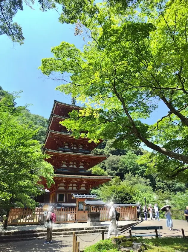 西国八番霊場　総本山 長谷寺　五重塔