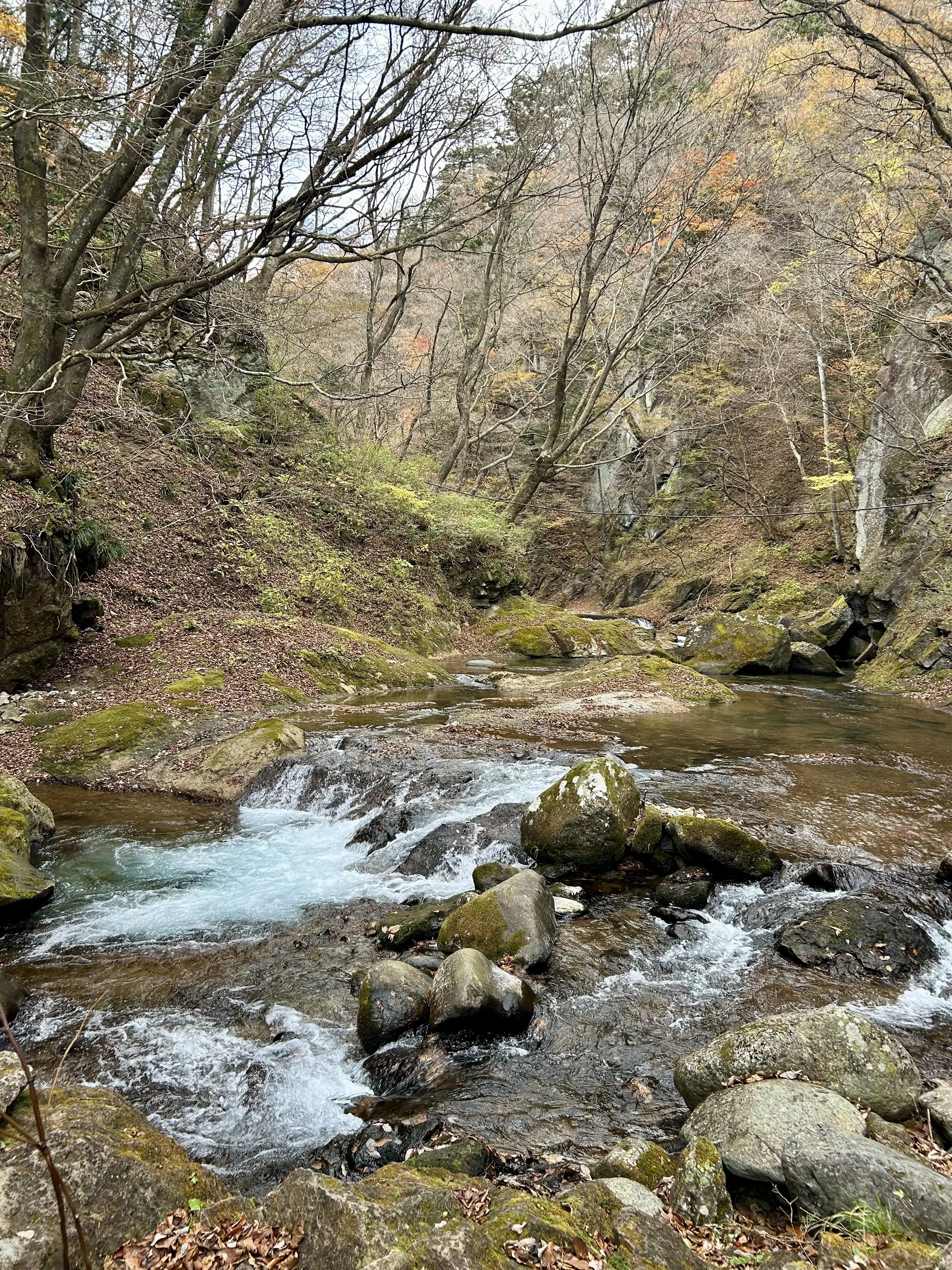 晩秋の那須高原へ紅葉狩りに_1_3