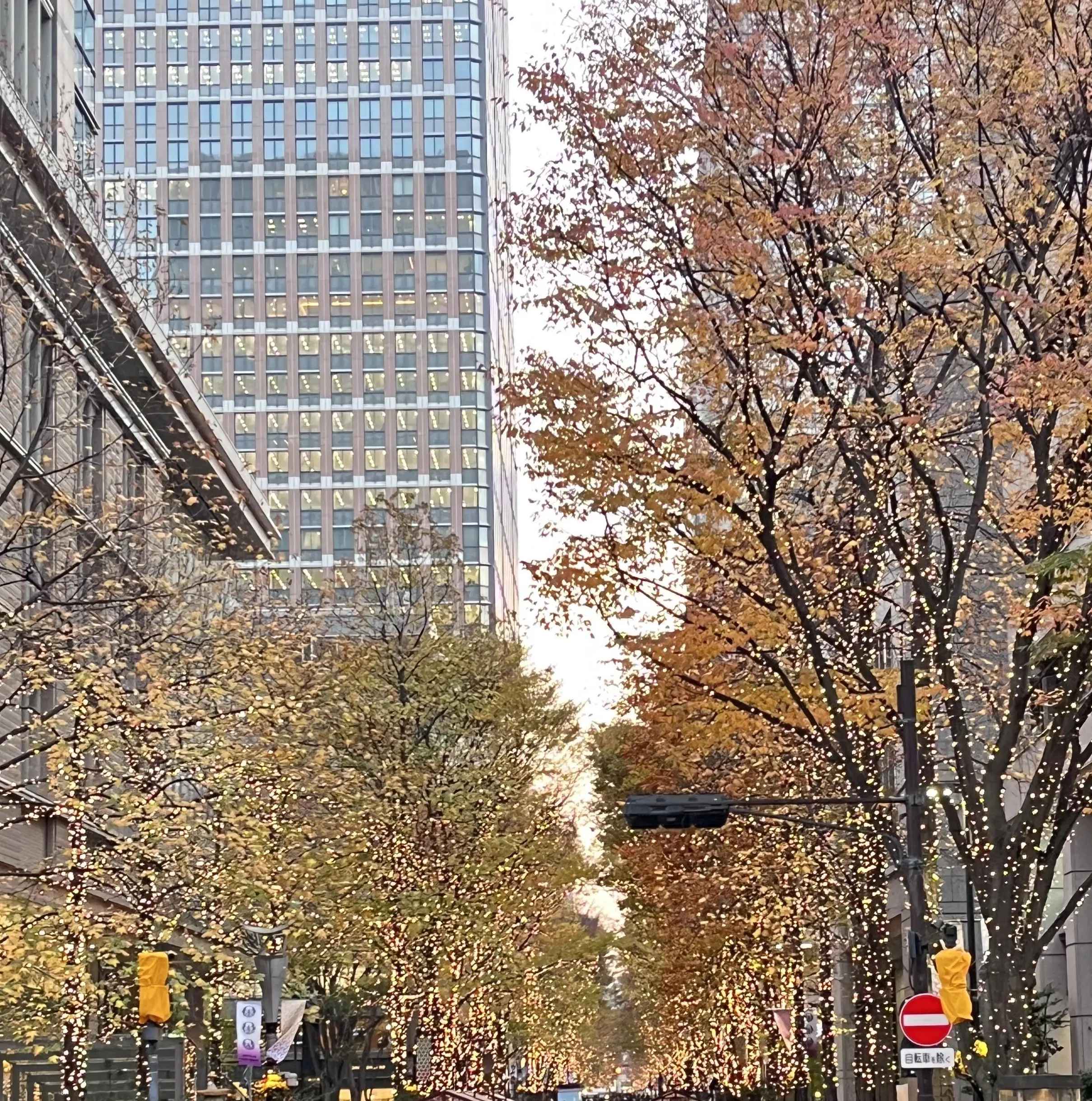 お花好きメンバーでキラキラ観賞♪日比谷〜丸の内巡り_1_17