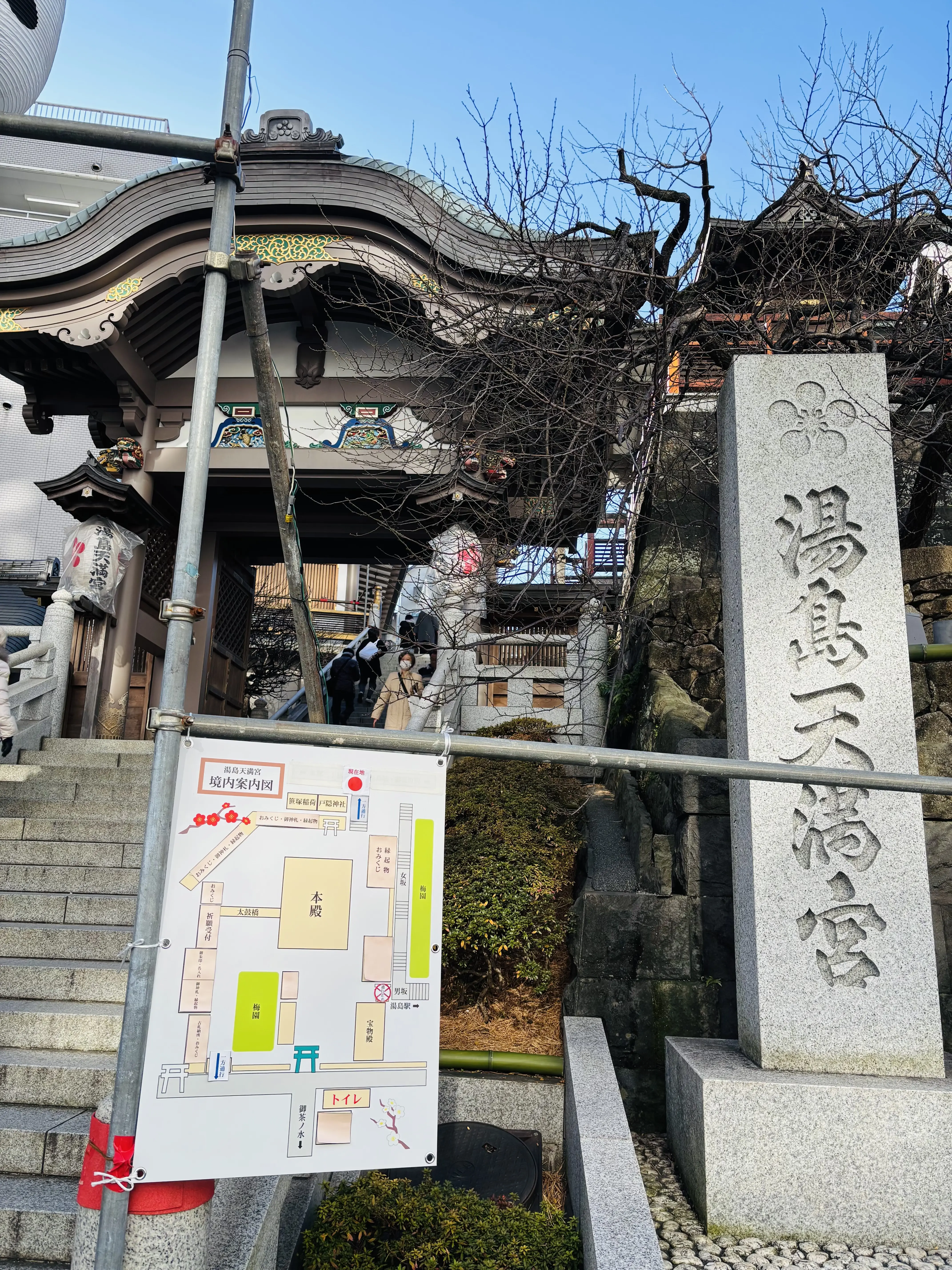 湯島天神 湯島天満宮 合格祈願 初詣 ブルーマウンテンの日