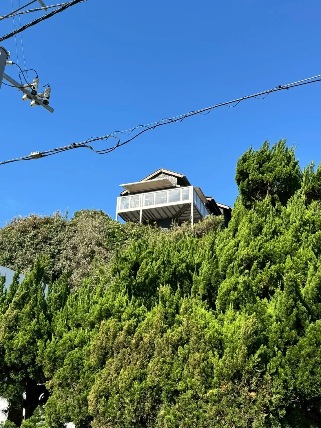 ふわふわイエローニットで鎌倉七里ヶ浜ランチ_1_2