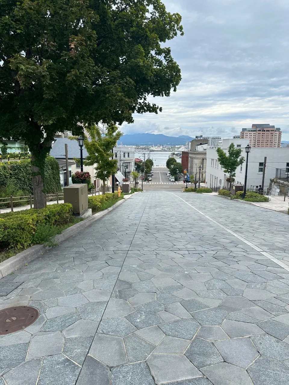 夏旅行2泊3日の函館ステイ　DAY1_1_8-1