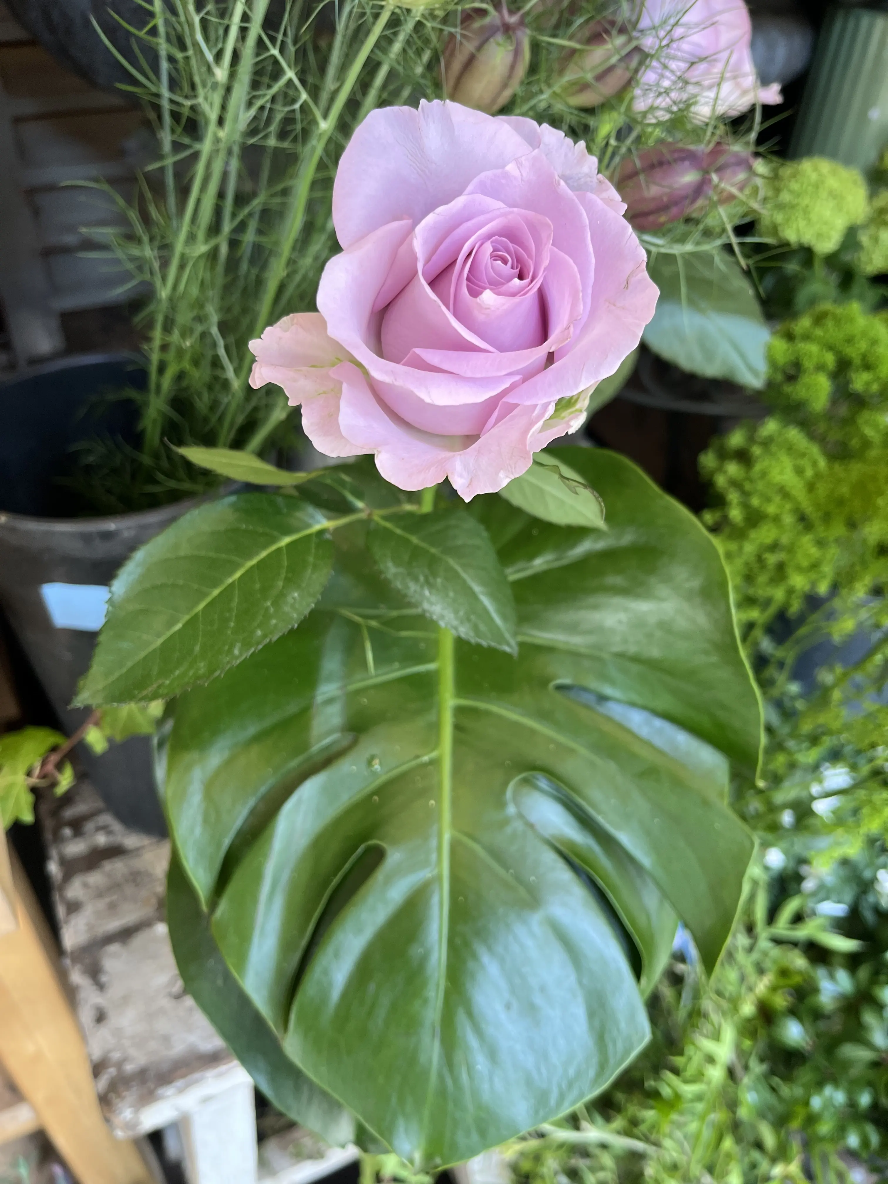 最近の〝花活〟_1_2-2