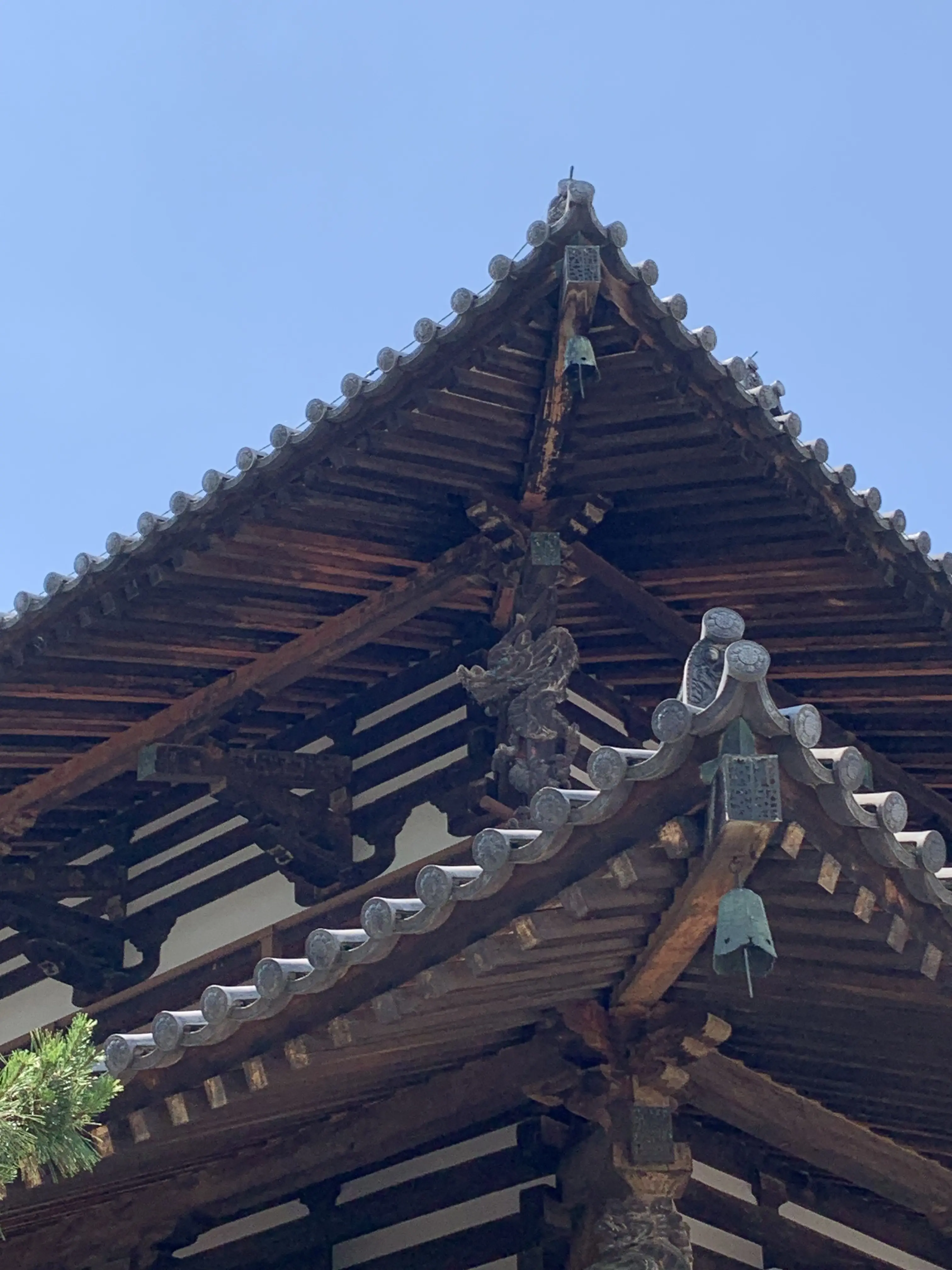 龍が柱を昇るように見える法隆寺の金堂