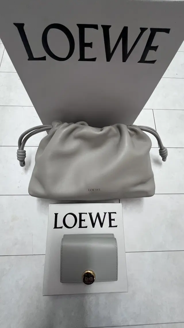 ロエベの気になるスモールウォレット_1_15