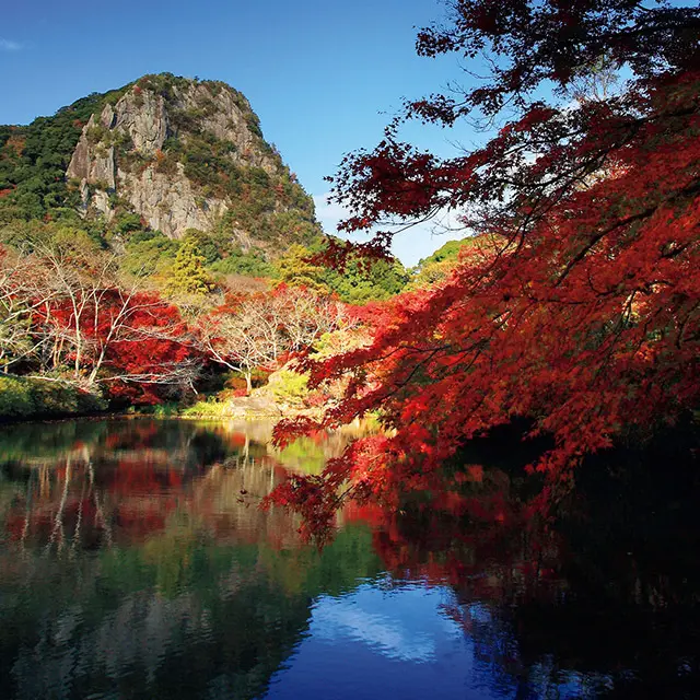 山向こうには樹齢3000年のご神木がそびえるパワースポット、武雄神社