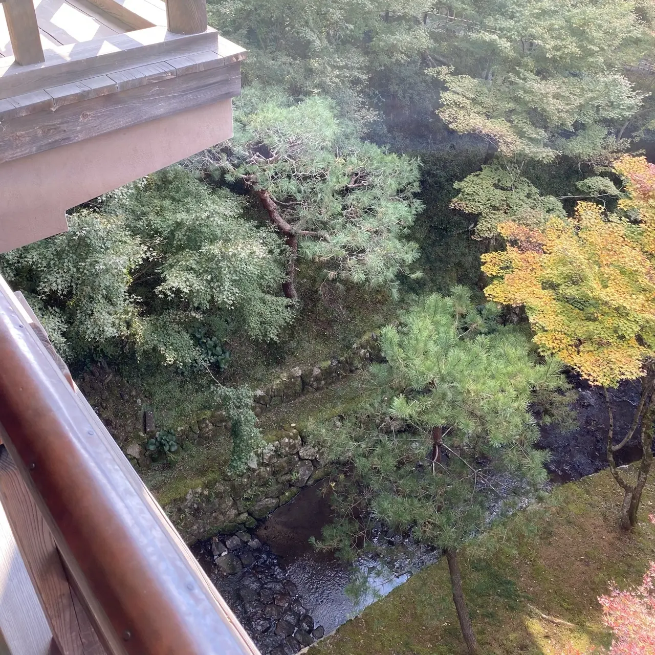 紅葉の名所、京都・東福寺の通天橋から想う映画のシーン_1_7