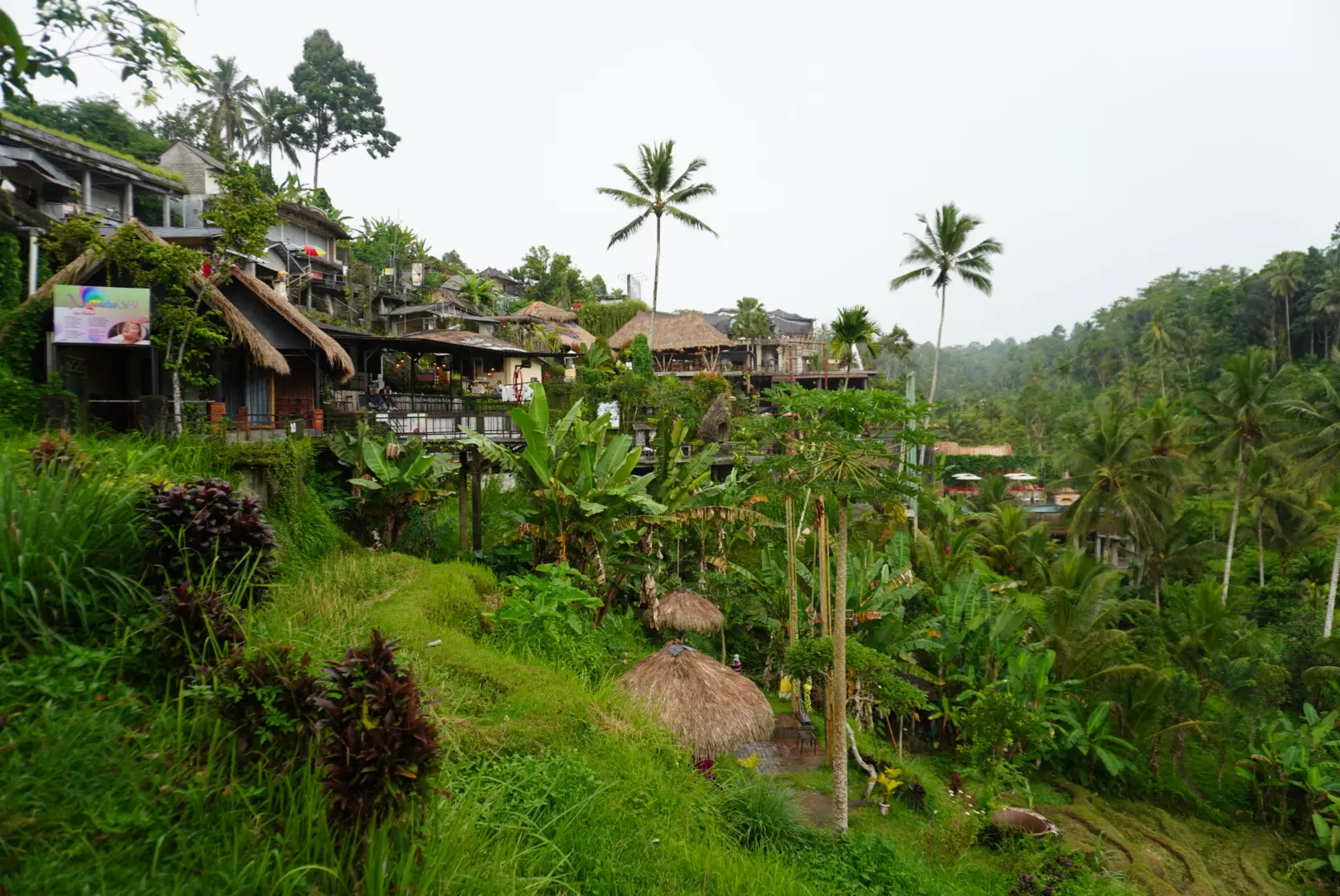 【2026年冬旅】年越しは夫婦で初めてのバリ島へ！その③_1_15-1