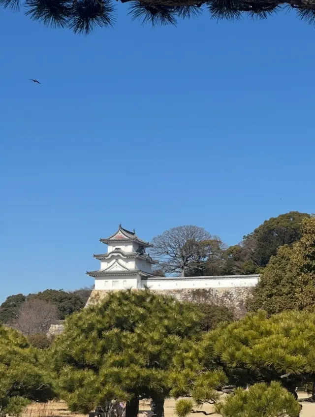 青空で明石城。_1_7