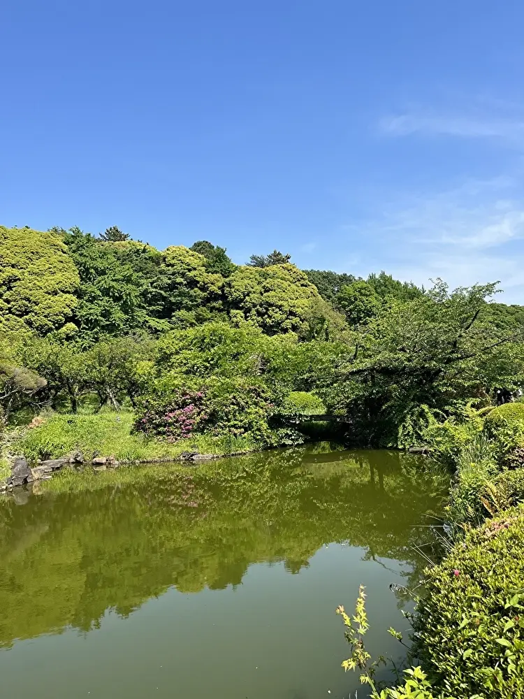 新緑の小石川植物園へ_1_15