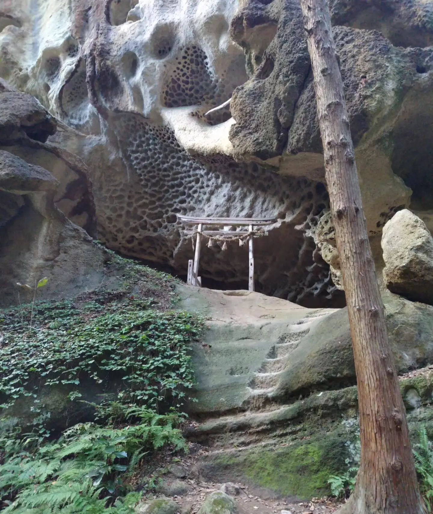 峯の浦・垂水遺跡