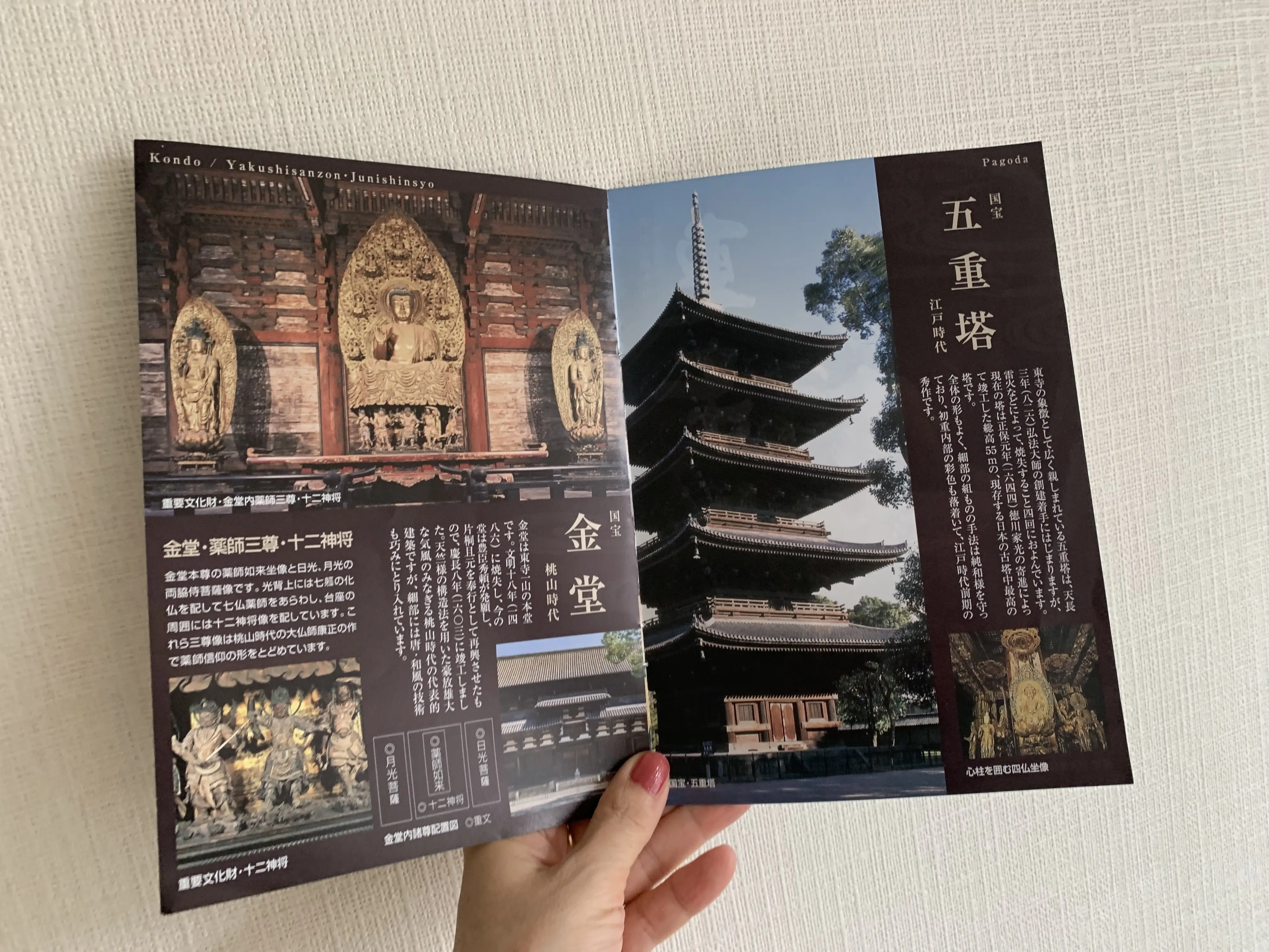 東寺の金堂と五重塔について説明するパンフレット