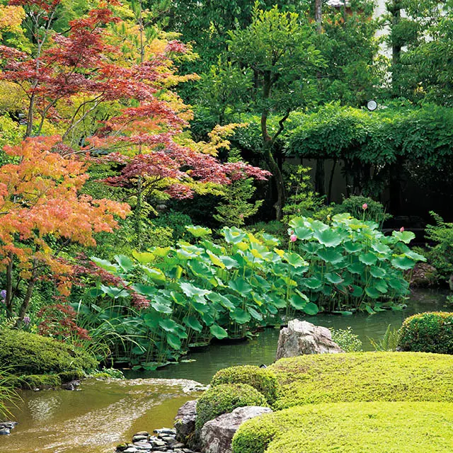 四季折々の景色が美しい池泉回遊式庭園「余香苑」