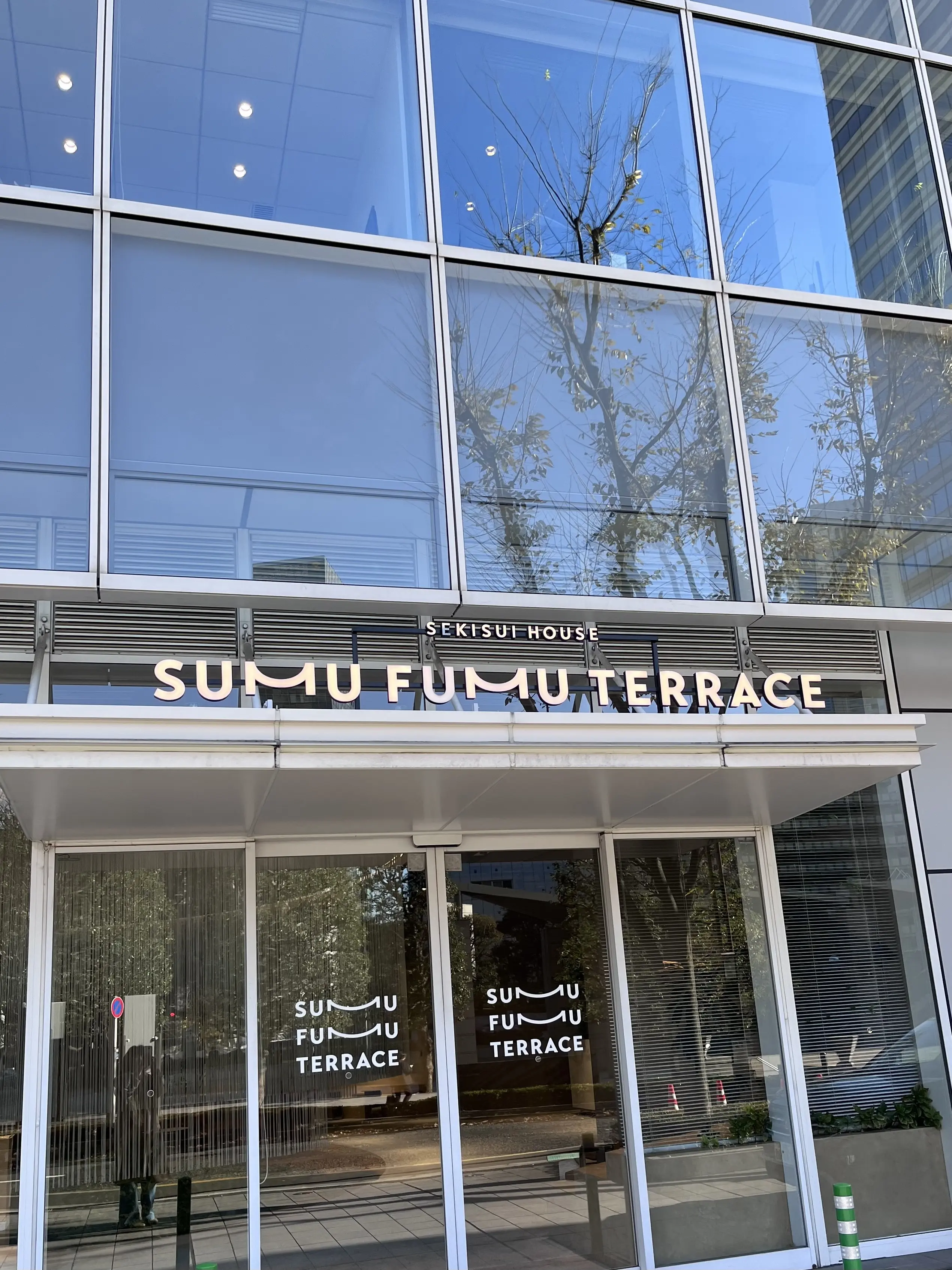 今年のお正月飾り。そして私のの〜んびりのお正月_1_2