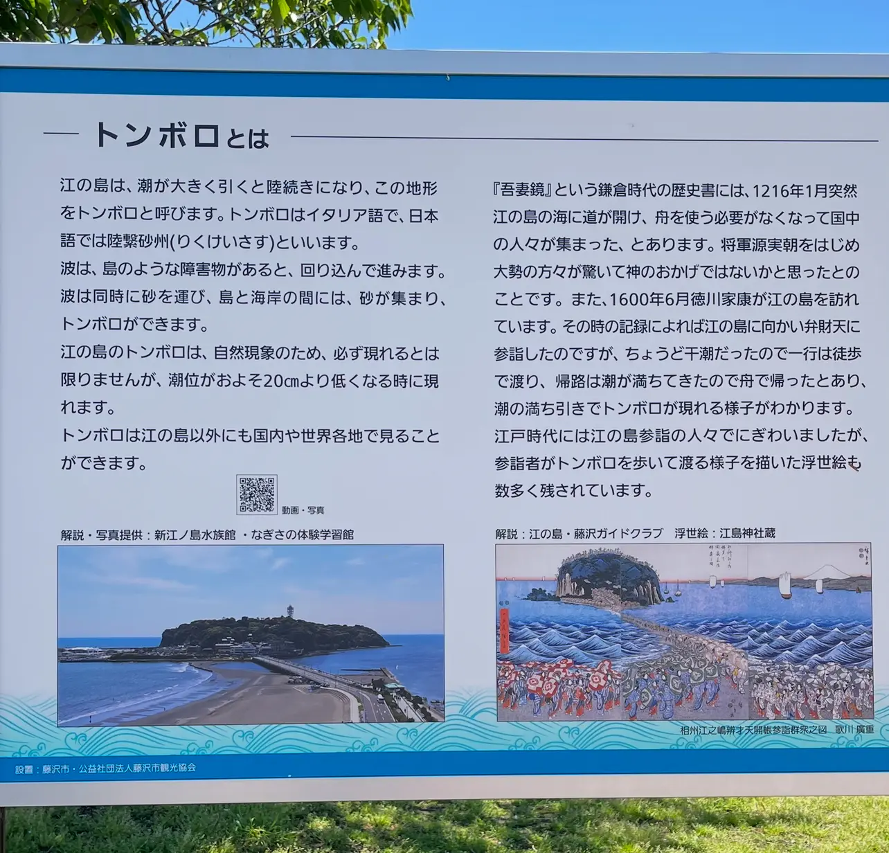 ピンクシャツと白デニムで江ノ島散策_1_2