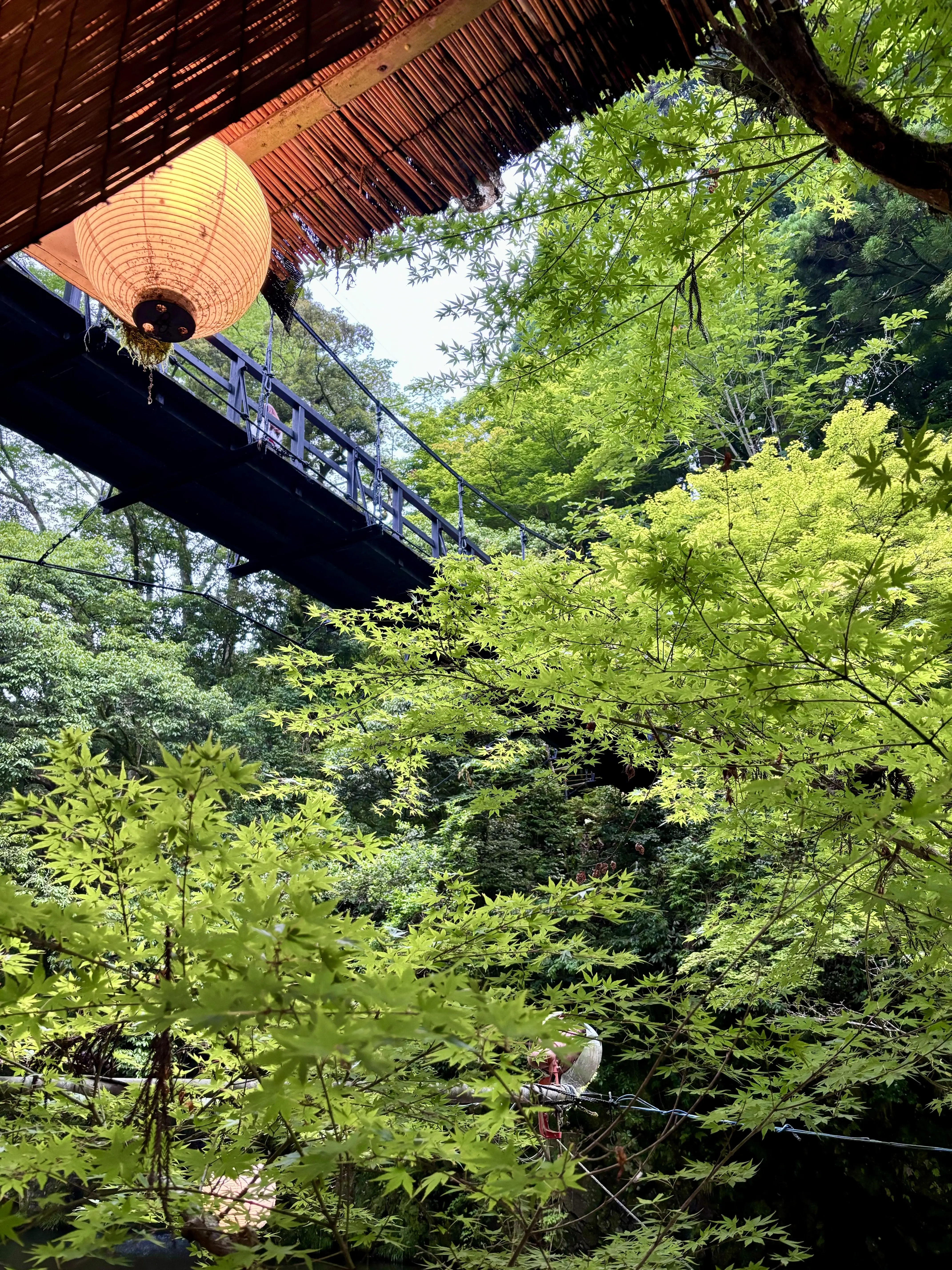 もみぢ家別館　川の庵