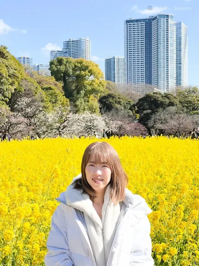 浜離宮恩賜庭園 菜の花