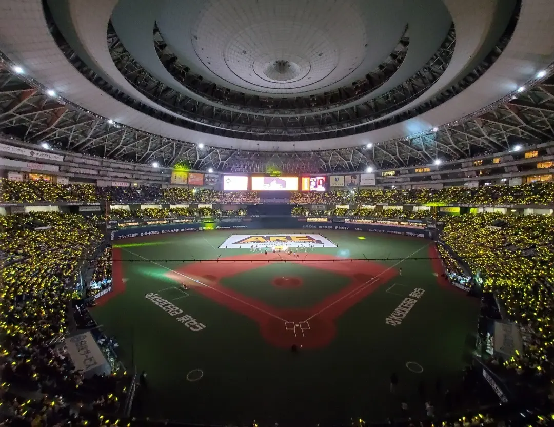 360度黄色い球場はとても新鮮でした。