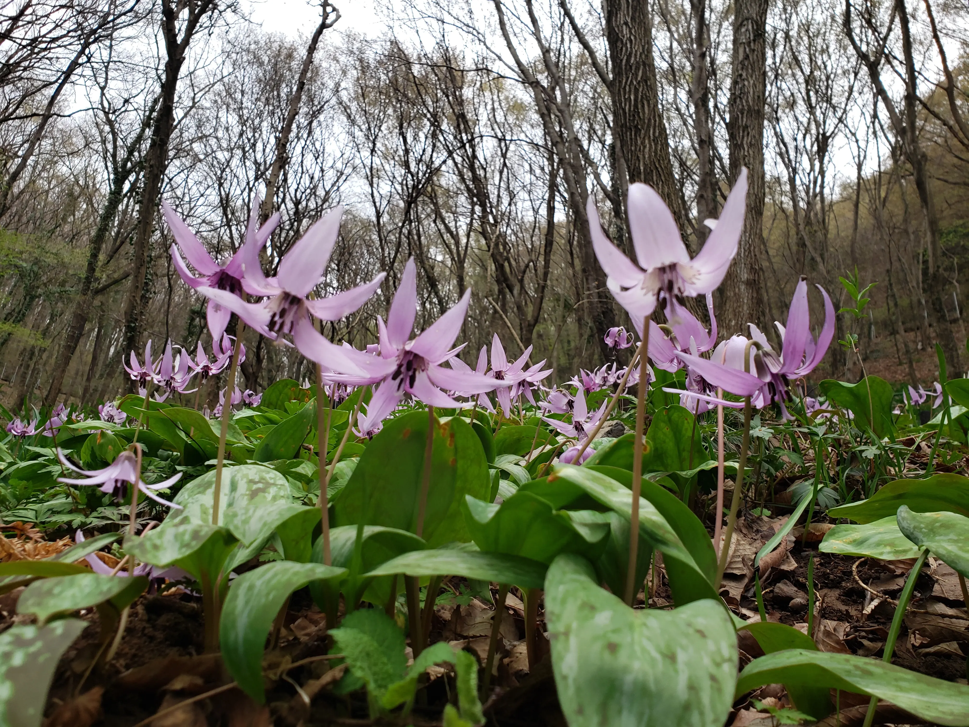 c51beb7eea77cc73aad0df394111b2