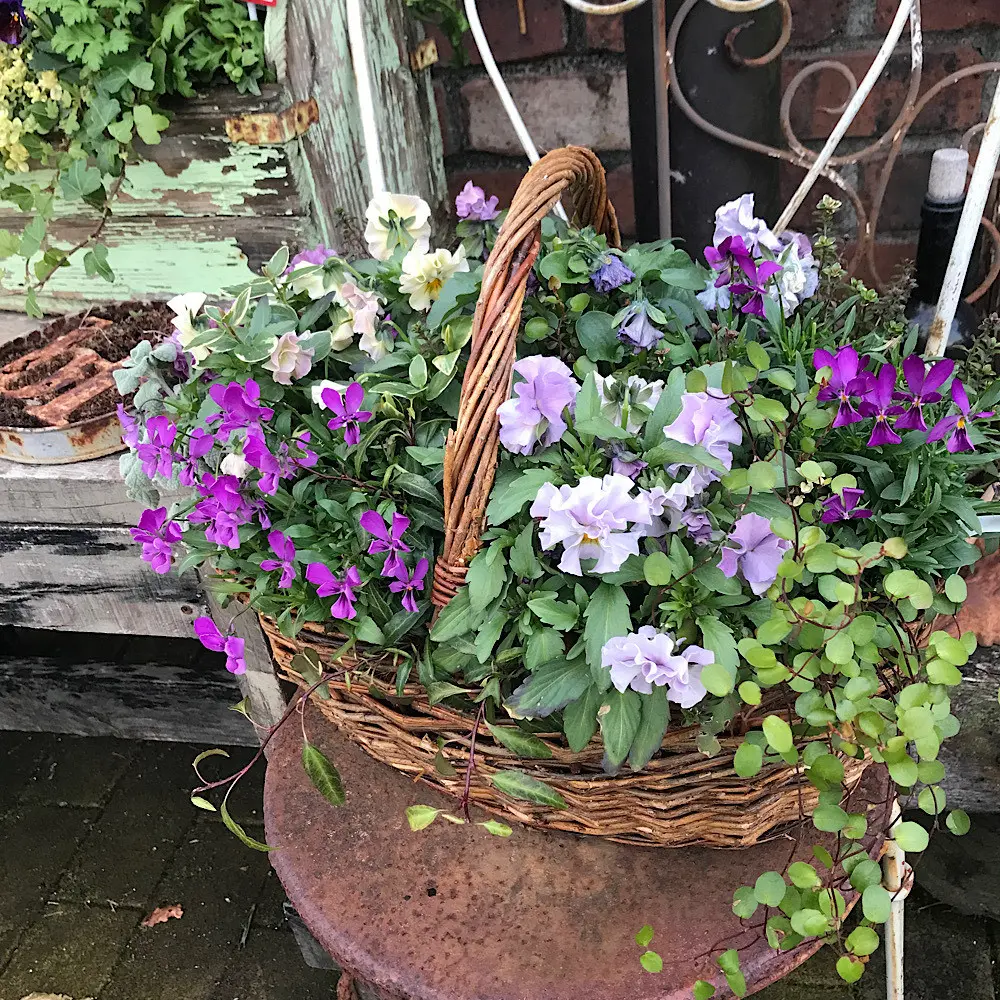紫の大人っぽい花籠