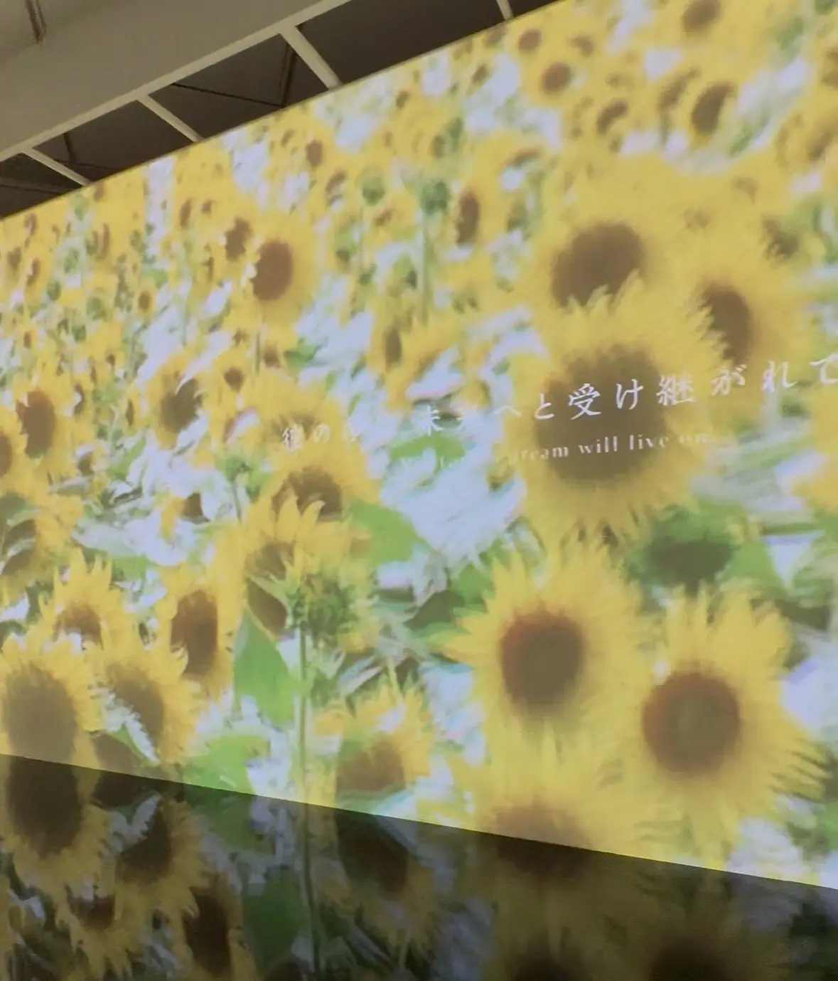 ゴッホ展～家族がつないだ画家の夢～_1_3-1