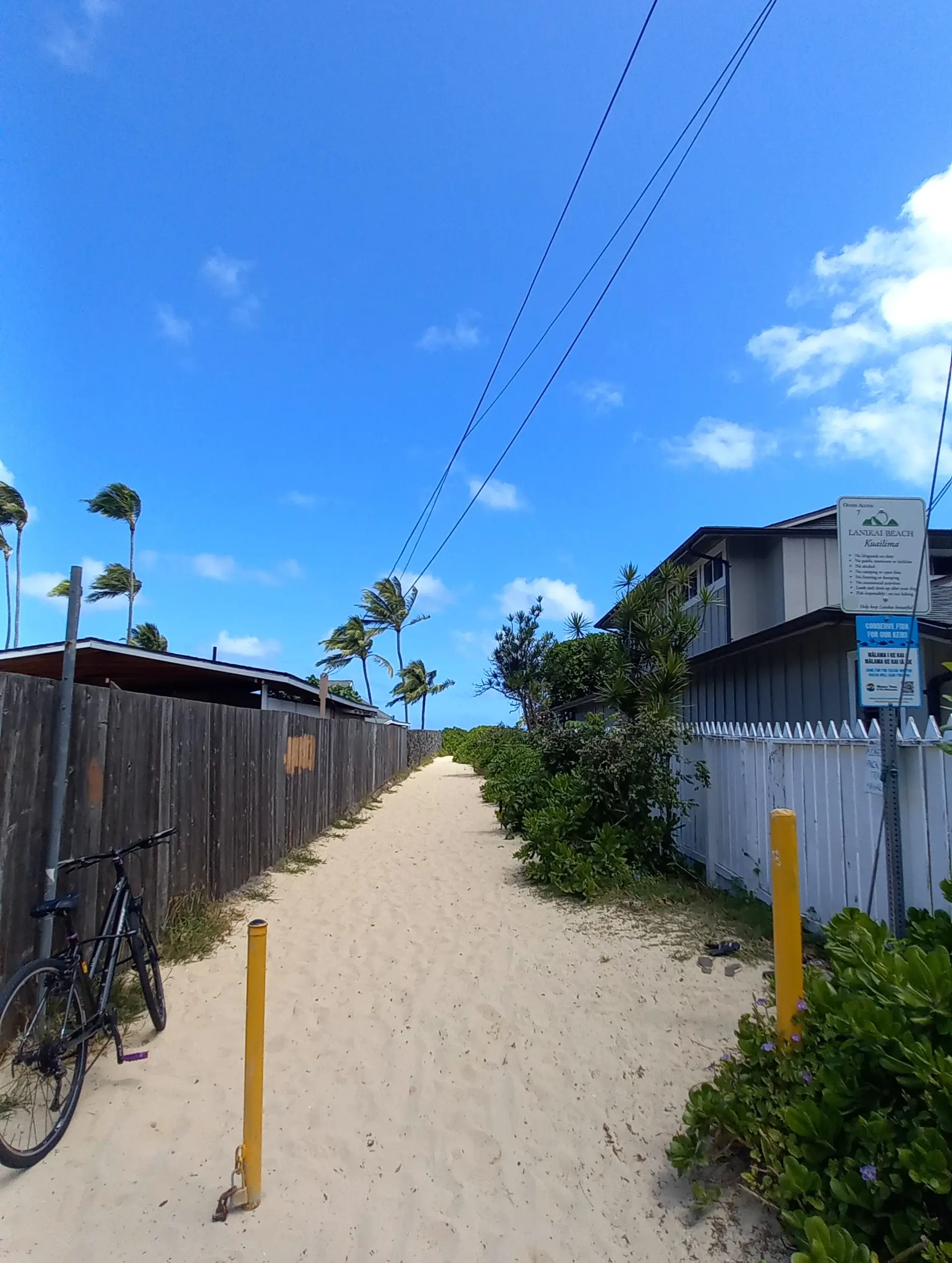 【Hawaii 2025】お出かけスポット色々♡山・海・お土産_1_1