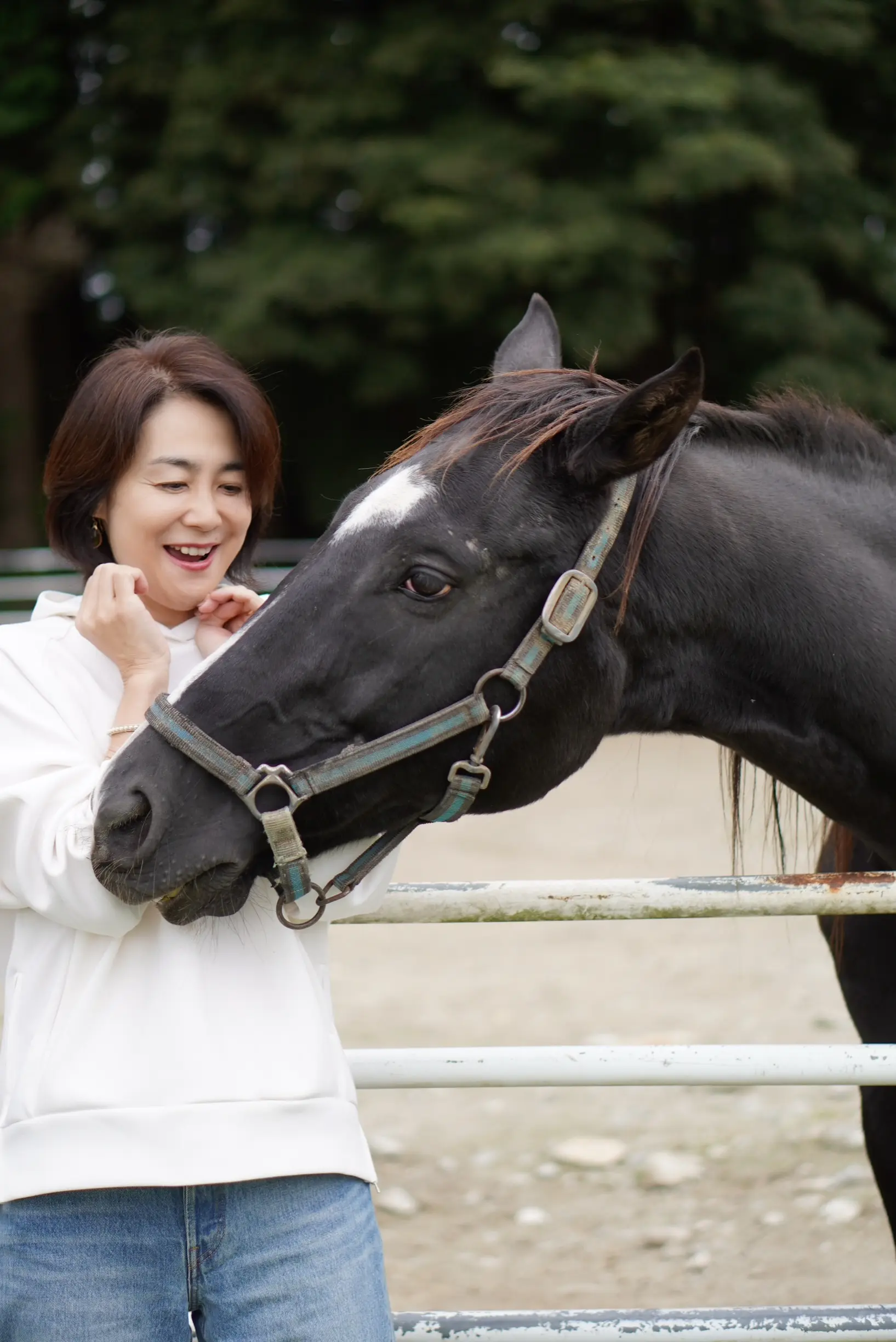 【秋の那須旅行①】超人気ベーカリーレストラン「ペニーレイン」、千本松牧場で馬と触れ合い_1_8-1