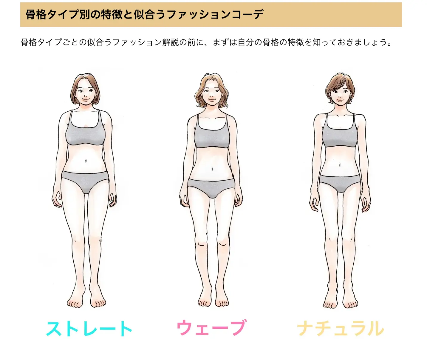 骨格診断　ストレート　ウエーブ　ナチュラル