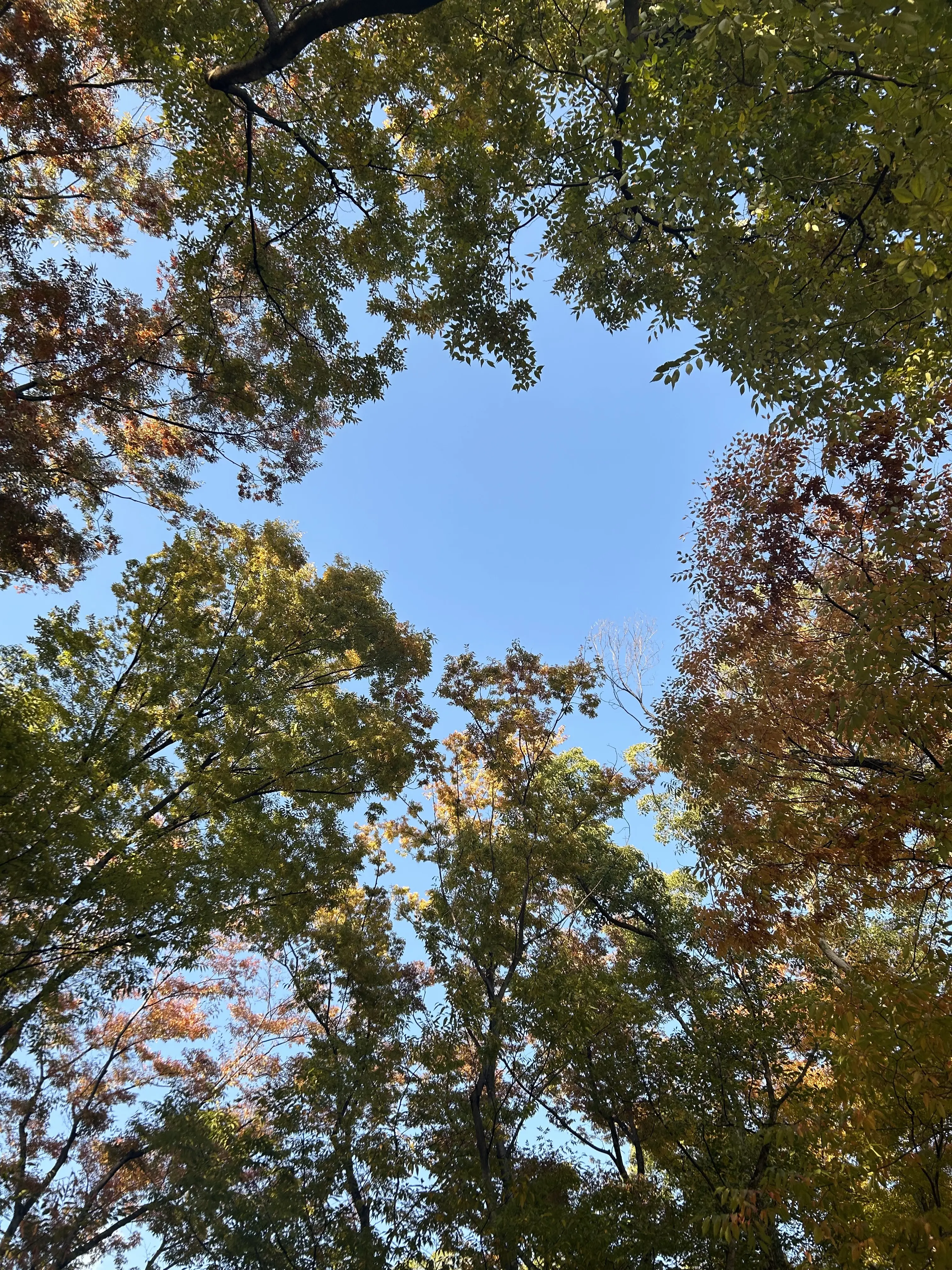 【きれいめ✖️カジュアル✨】トレンチコートで作る2つの私スタイル✨🧥_1_6-1