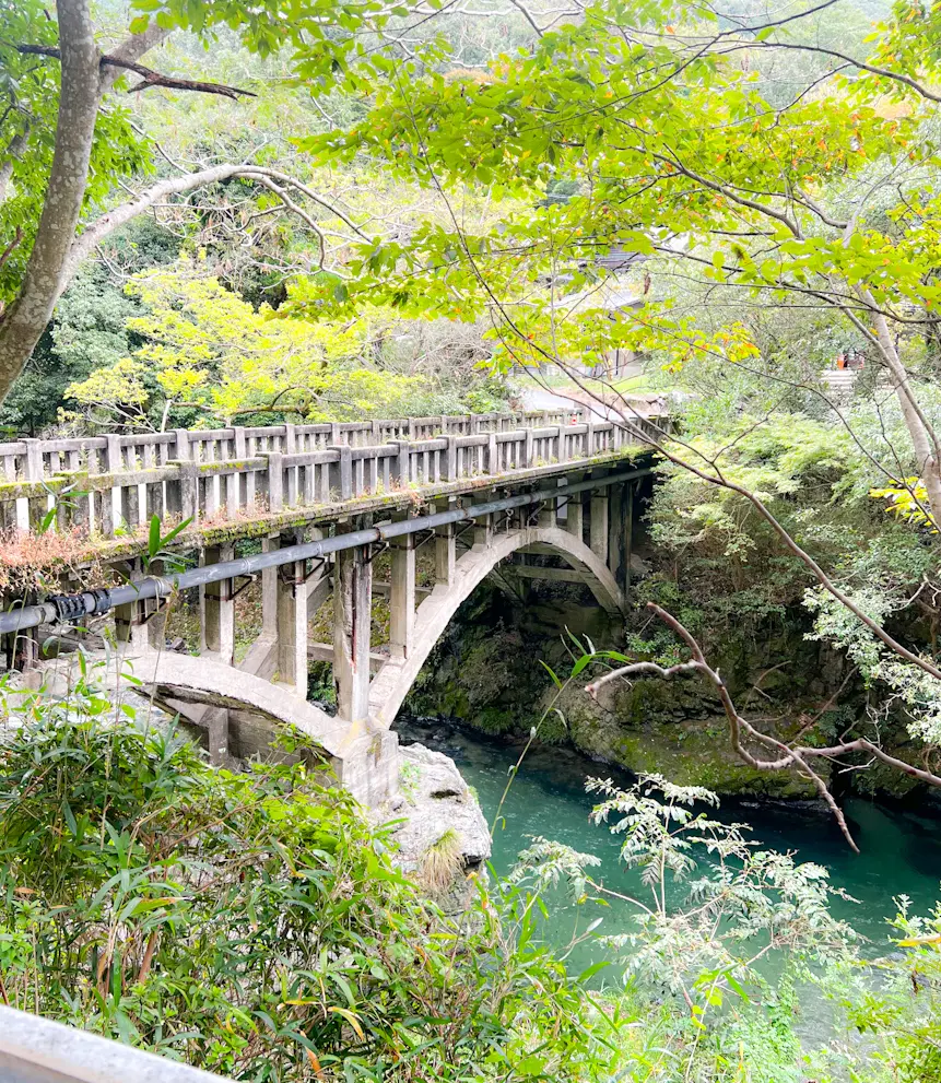 【京都】紅葉パトロール🍁瑠璃光院🍁秋の特別拝観_1_2