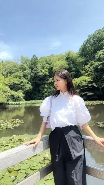 睡蓮の咲く池