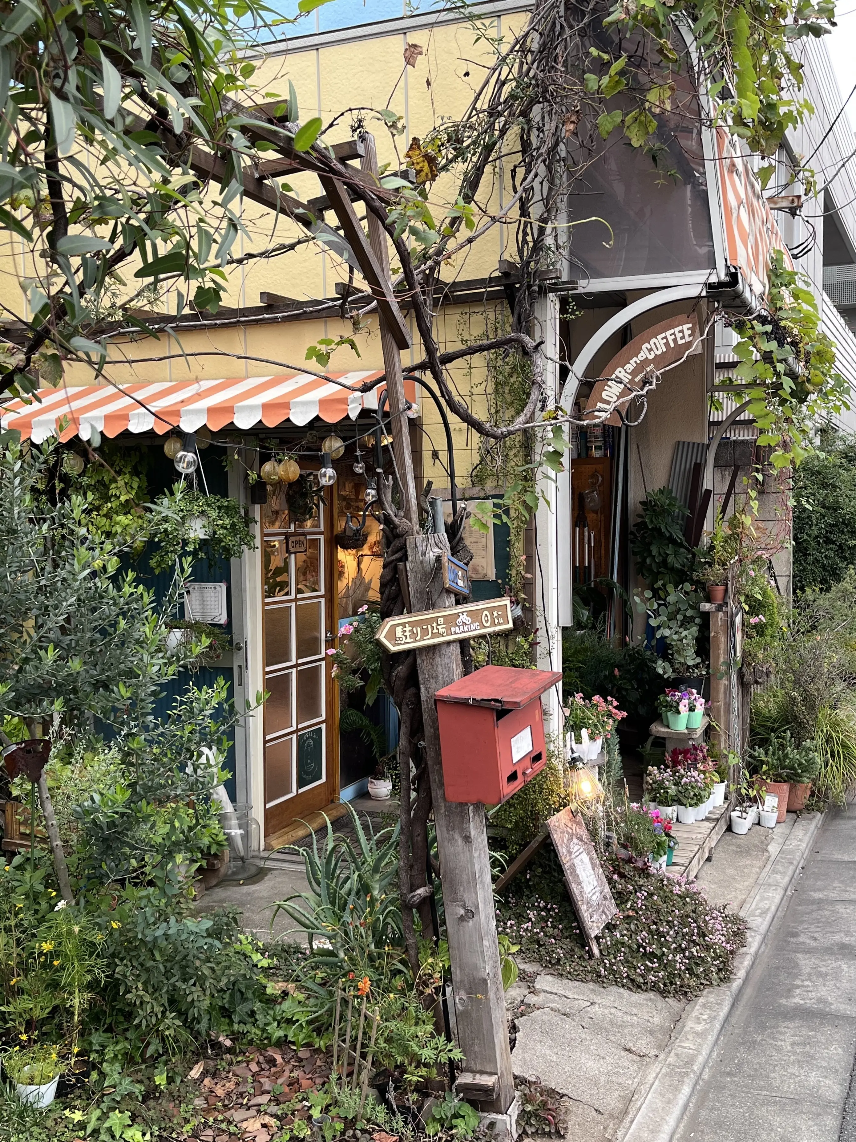 今年は早めのクリスマスリース作り_1_1