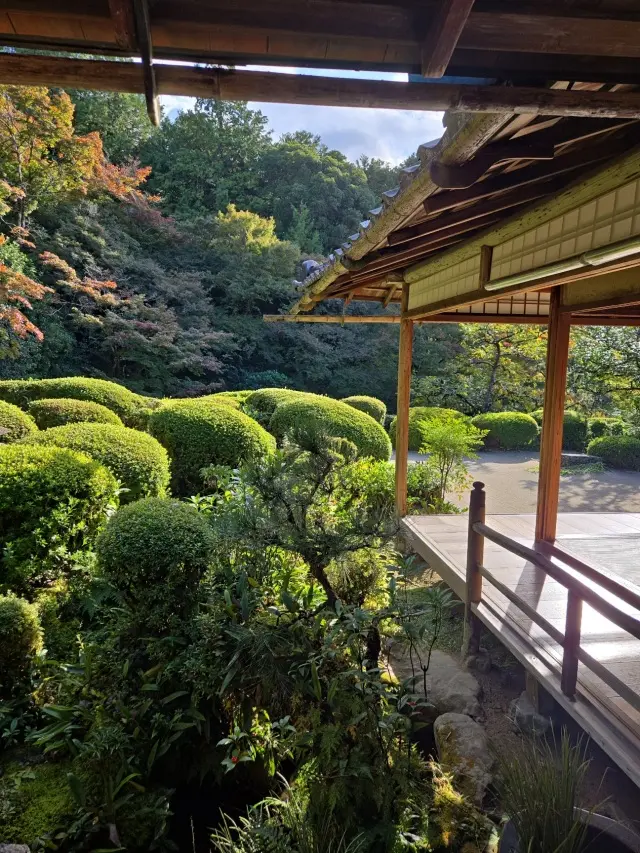 秋の京都ひとり旅・中編 ～瑠璃光院から詩仙堂へ〜わずかな時間も特別な京都の午後_1_14
