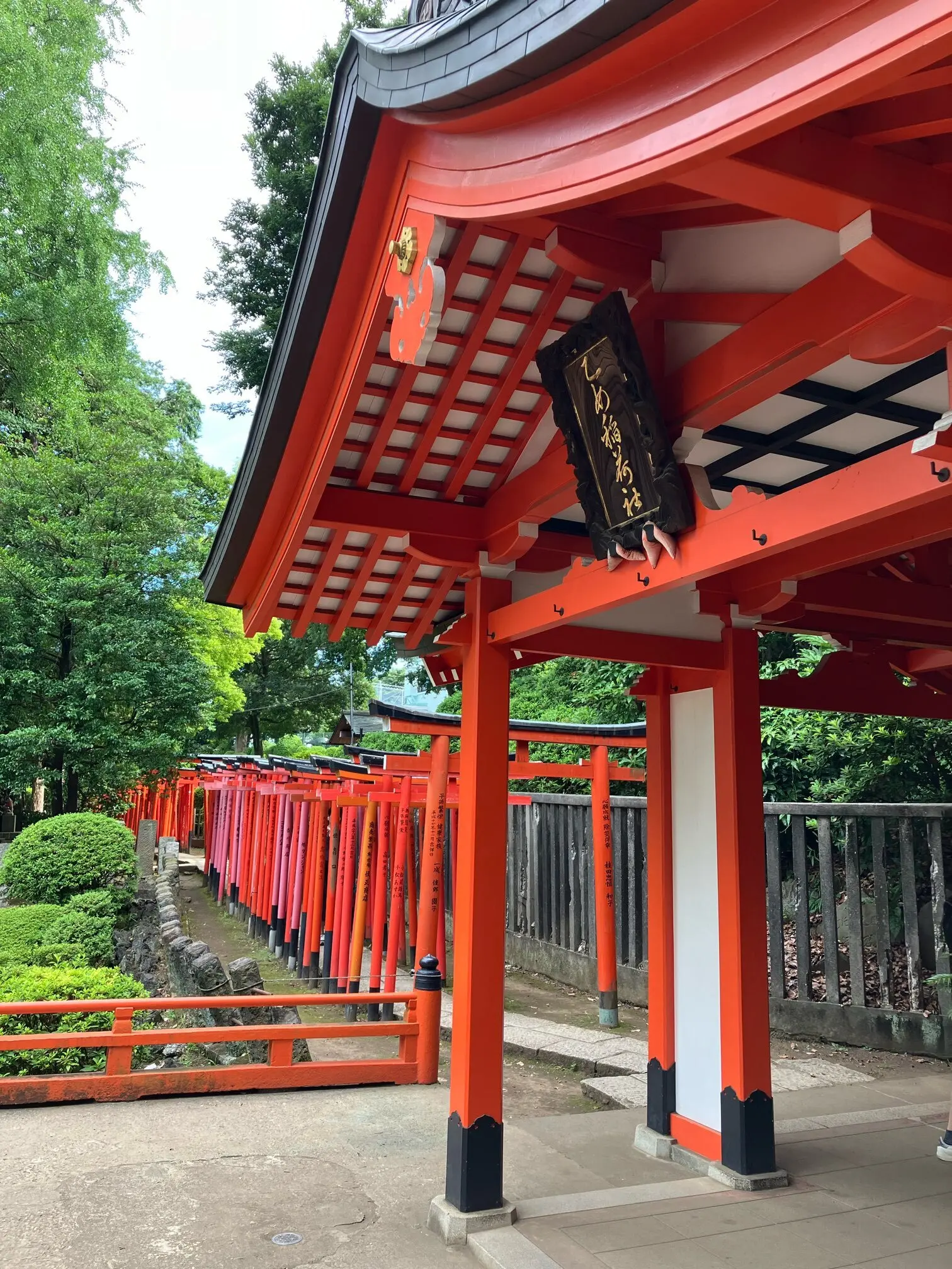 夏詣 根津神社 かざくるま祭り 千本鳥居 銭湯カフェ MIYANOYU 宮野湯 神社 御朱印 御朱印散歩 切り絵御朱印 カフェ MATCHA&ESPRESSO MIYANO-YU