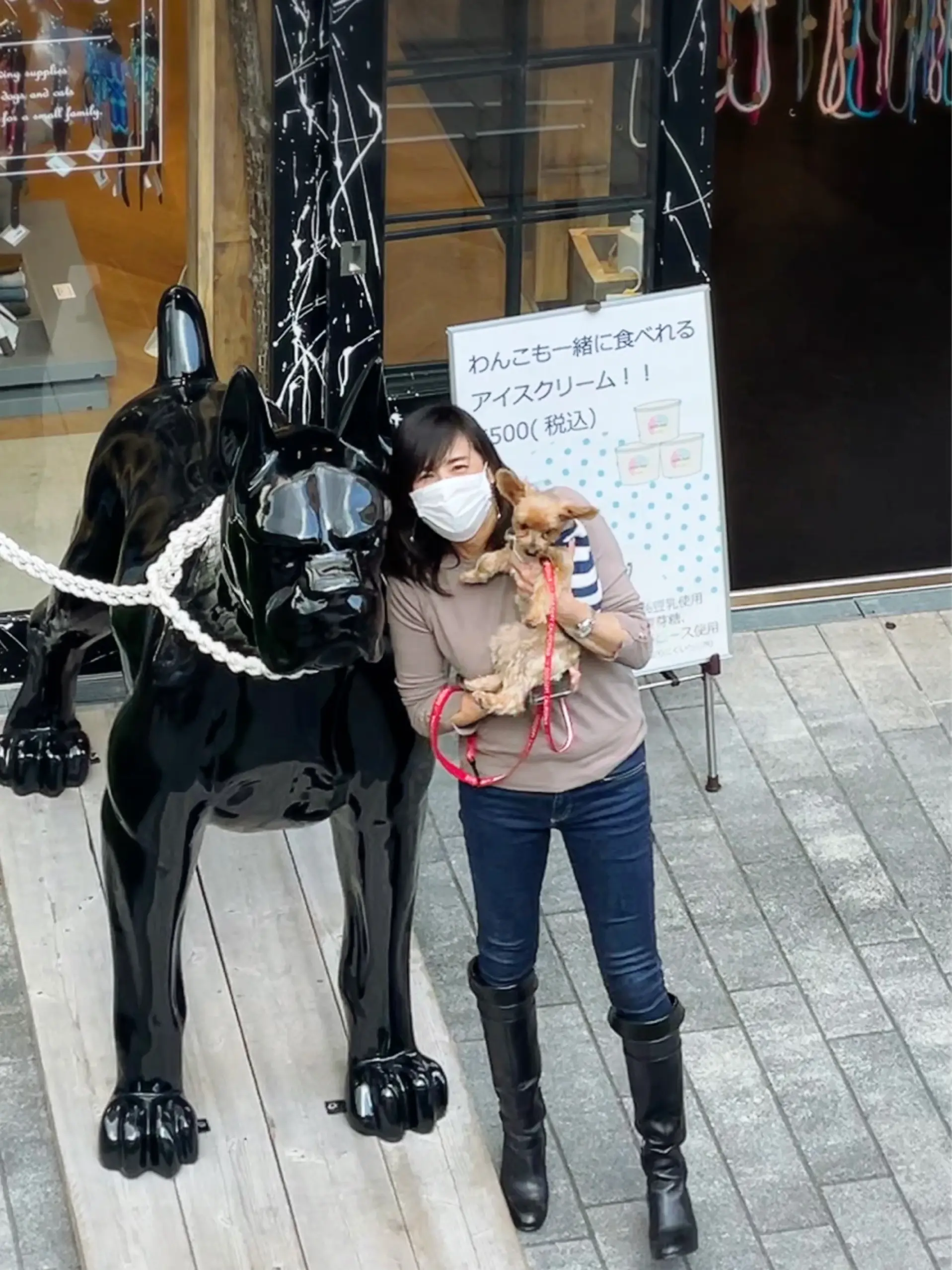 愛犬と横浜散歩_1_4