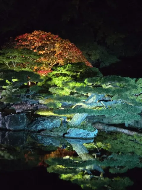 栗林公園ライトアップ_1_4