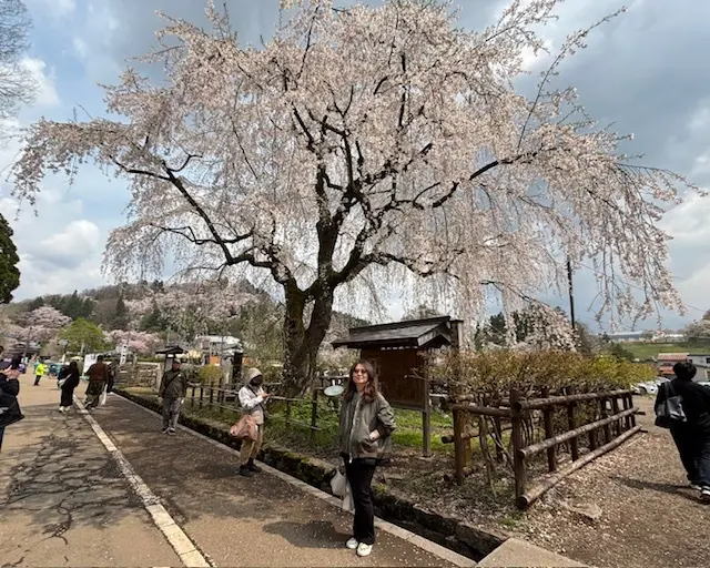 国内旅行 秋田 秋田旅行 角館 大曲 秋田犬 花火大会 武家屋敷 秋田土産 秋田銘菓 比内地鶏 羽田空港 秋田空港 日本酒 地酒 地ビール 桜 花見 もろこし 日本三大花火 秋田駅