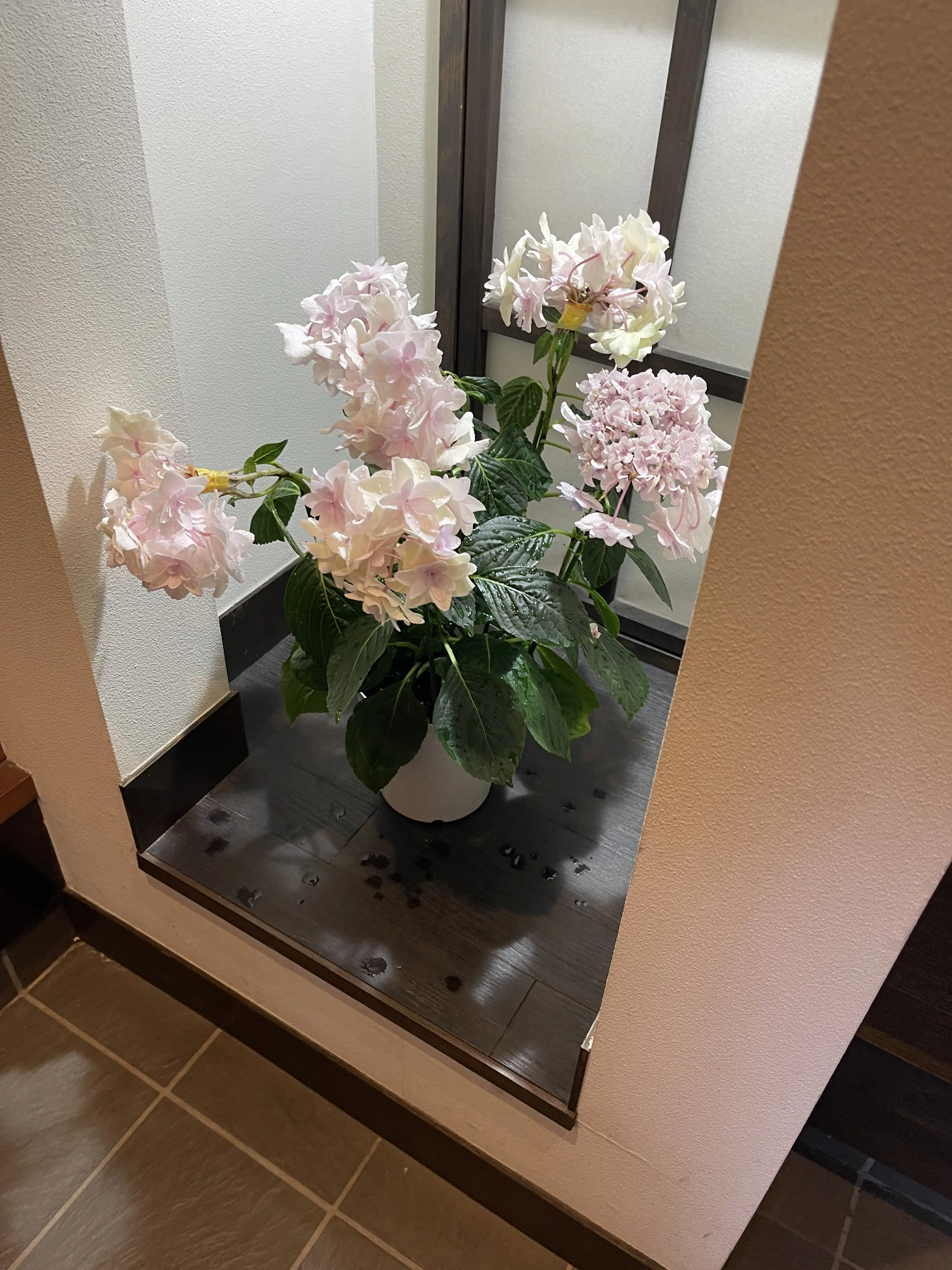 大人の鎌倉遠足♡紫陽花とグルメを満喫してきました✨_1_10-2