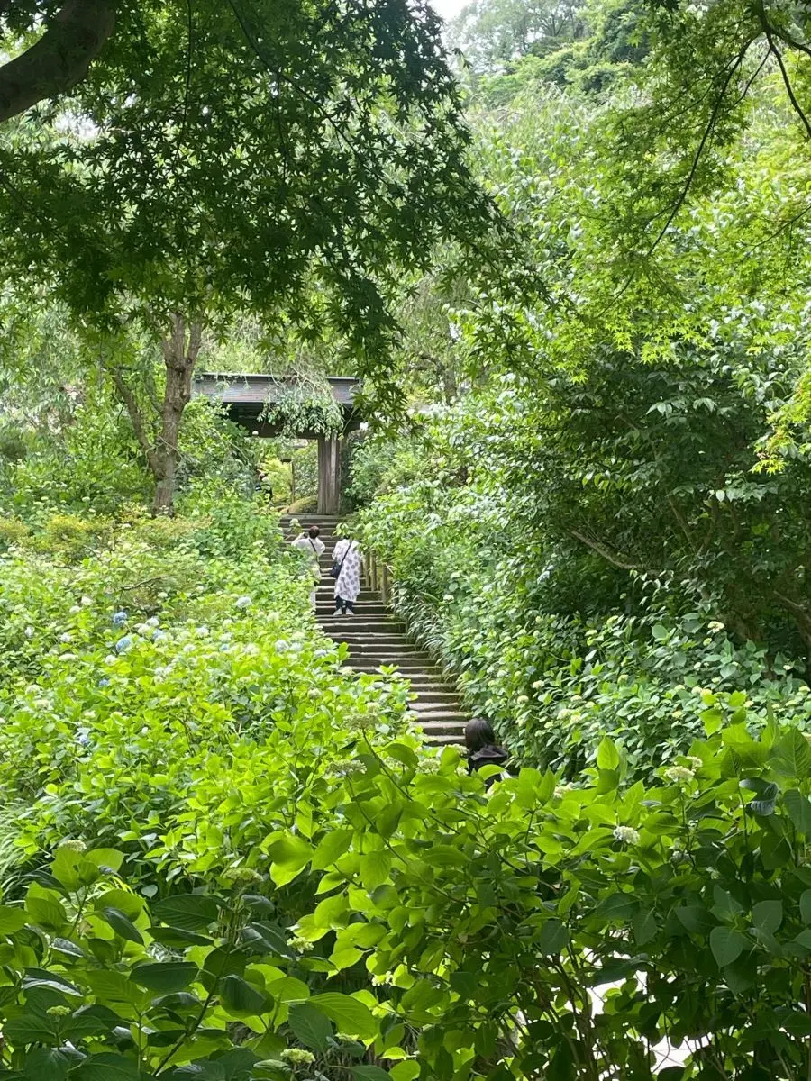 明月院