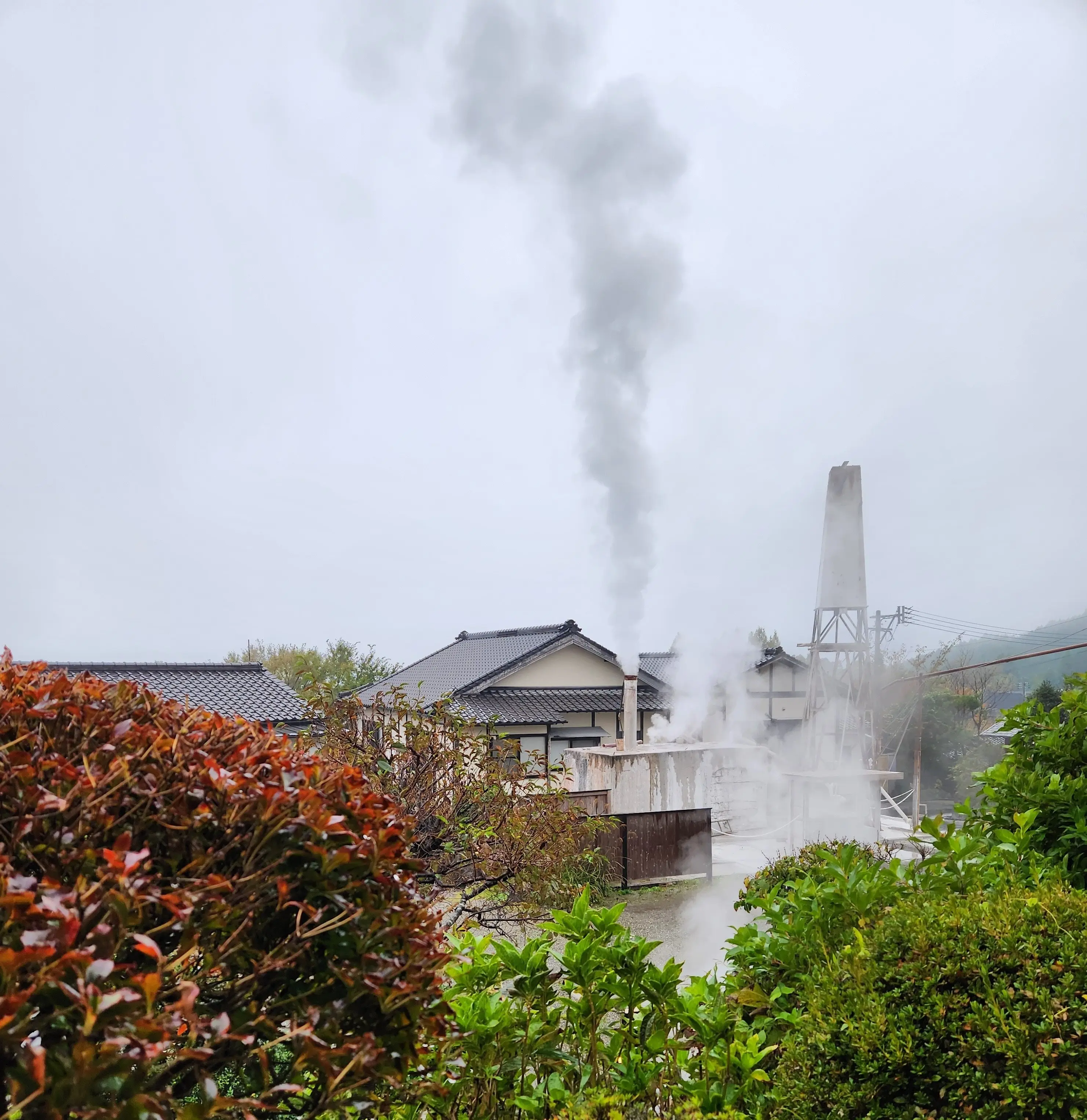 束ノ間の敷地内あちこちから湯気が立ち上っていました。