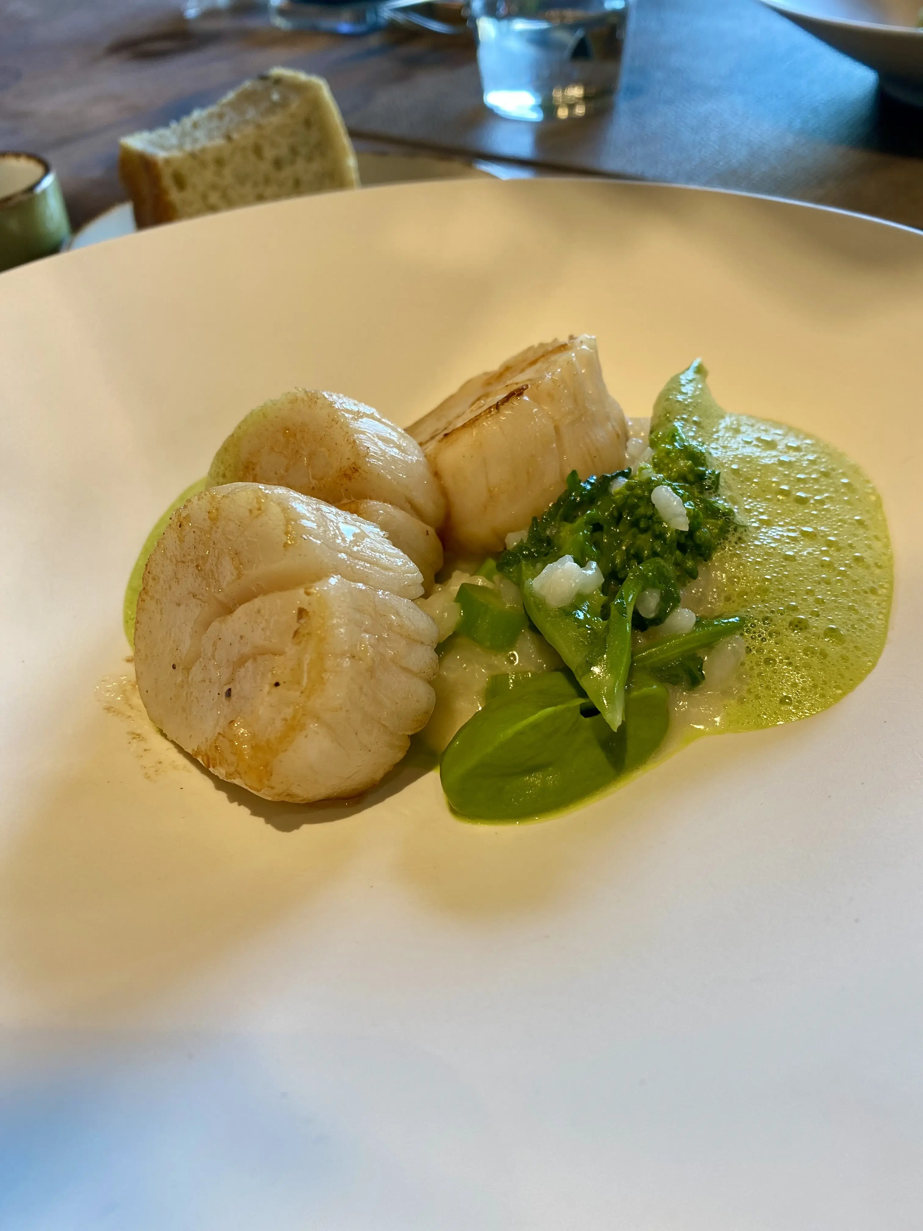 表参道bonélan（ボネラン）の帆立のスナッケ。菜の花のリゾット添え、Menu marchéメイン料理