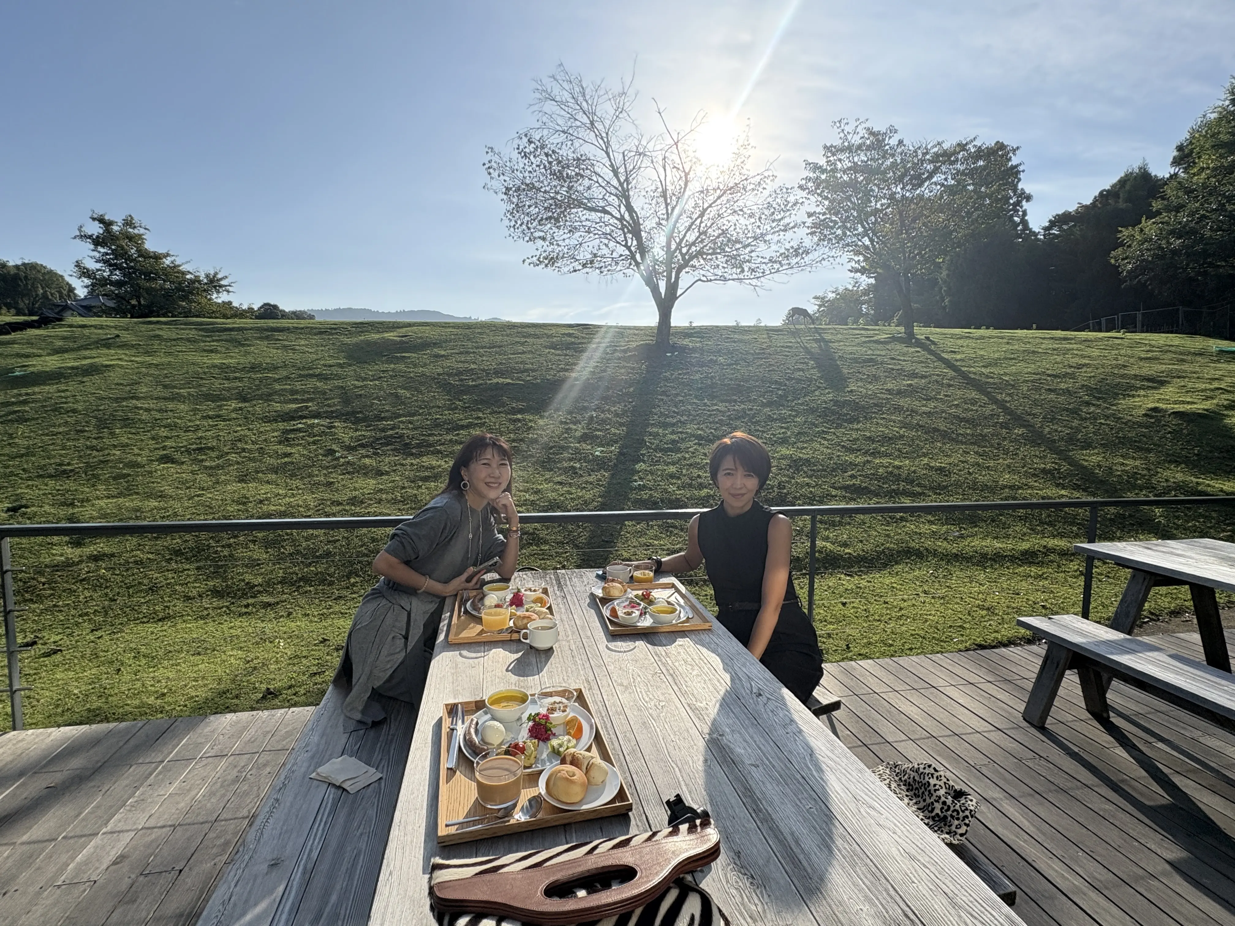 極上の奈良の朝、神秘的な光景。_1_9