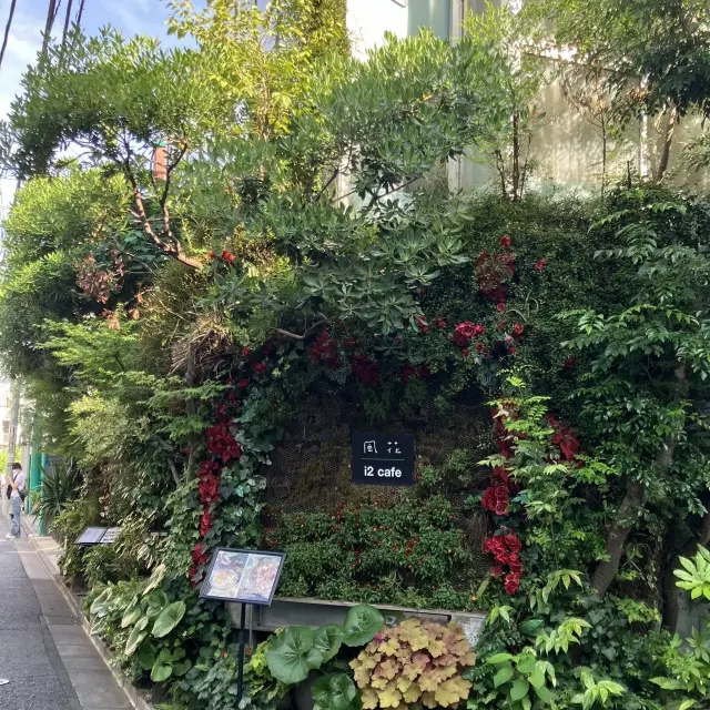 表参道隠れ家カフェのダッチベイビー_1_1