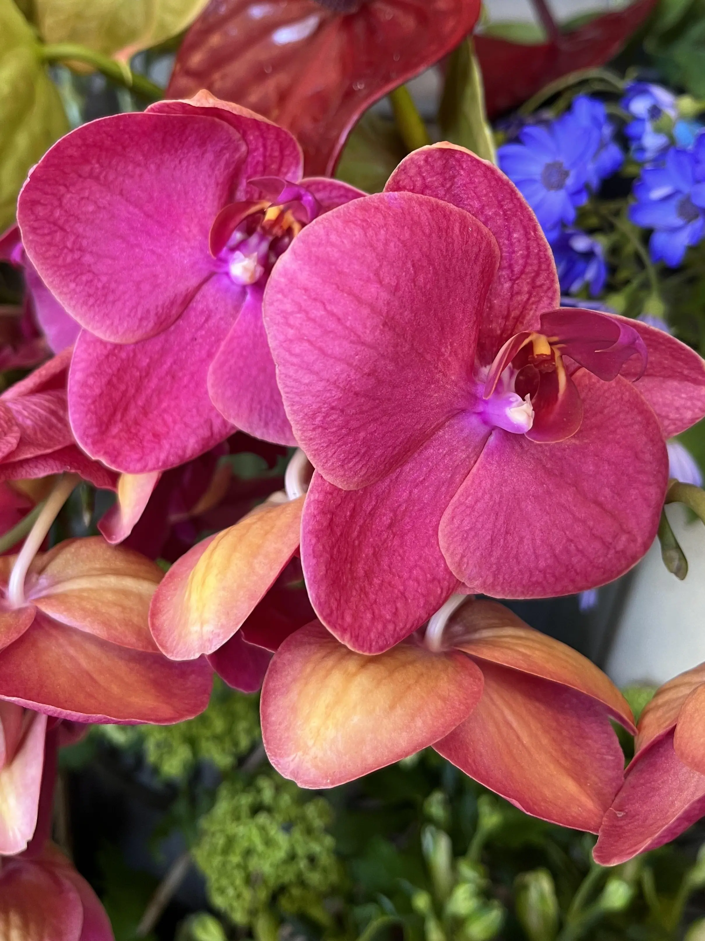 最近の〝花活〟_1_3